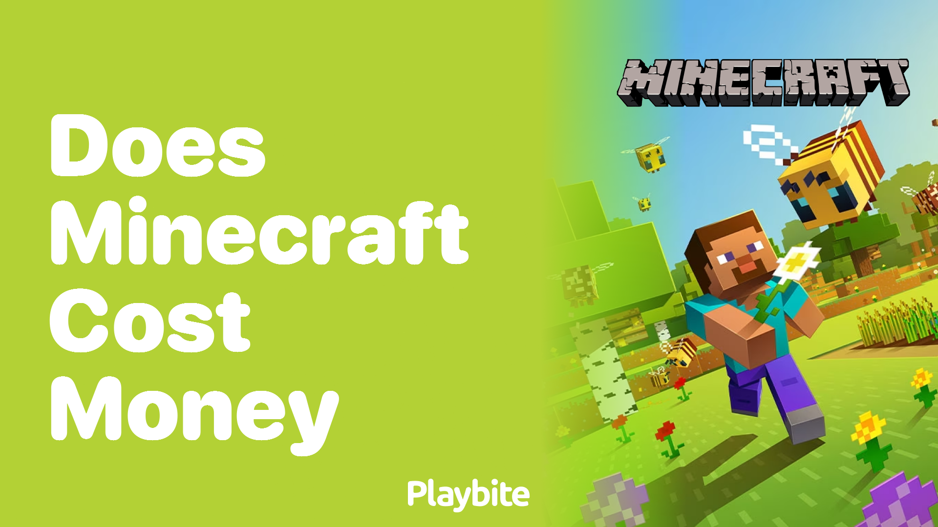 Does Minecraft Cost Money? Let’s Dig Into the Details