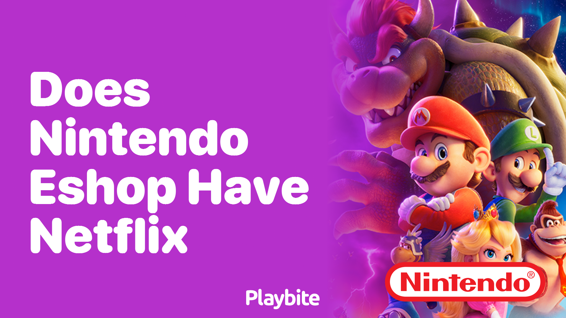 Does Nintendo eShop Have Netflix?