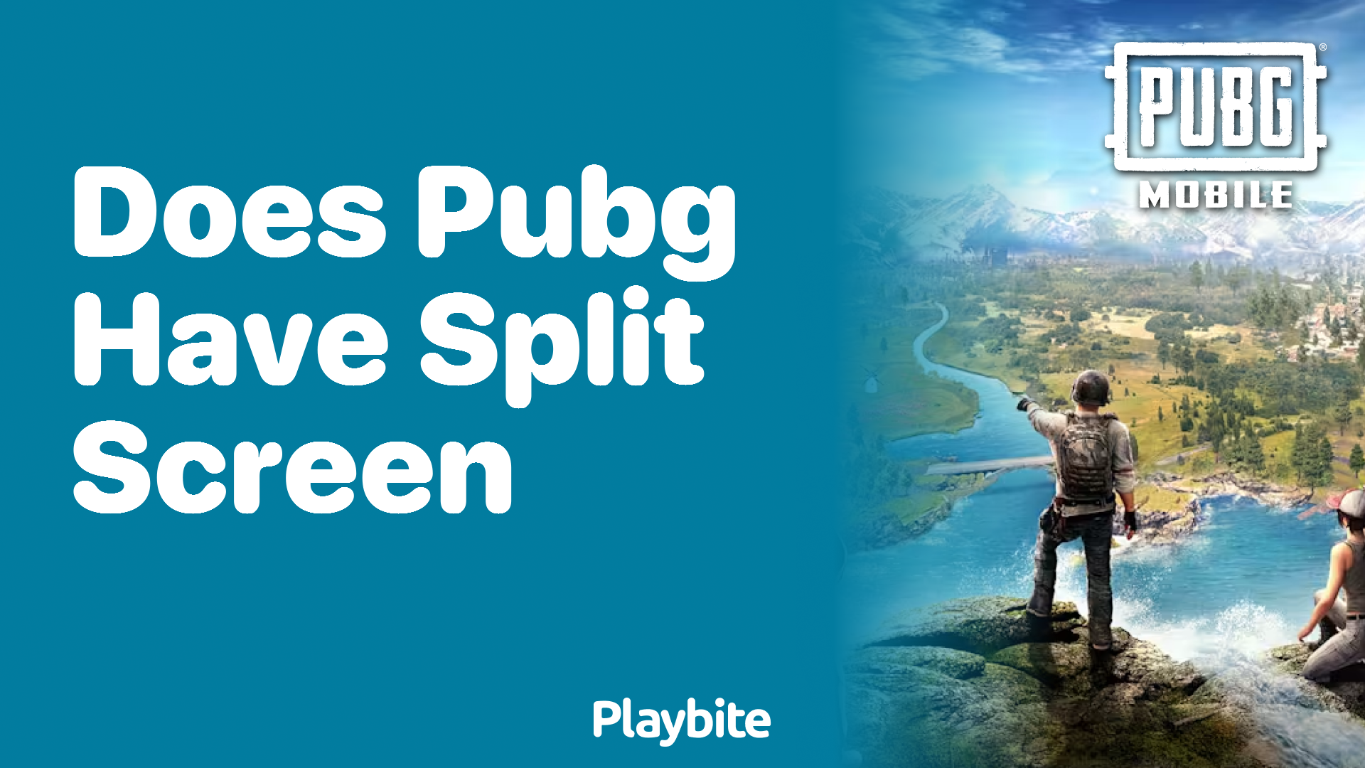 Does PUBG Have Split Screen?