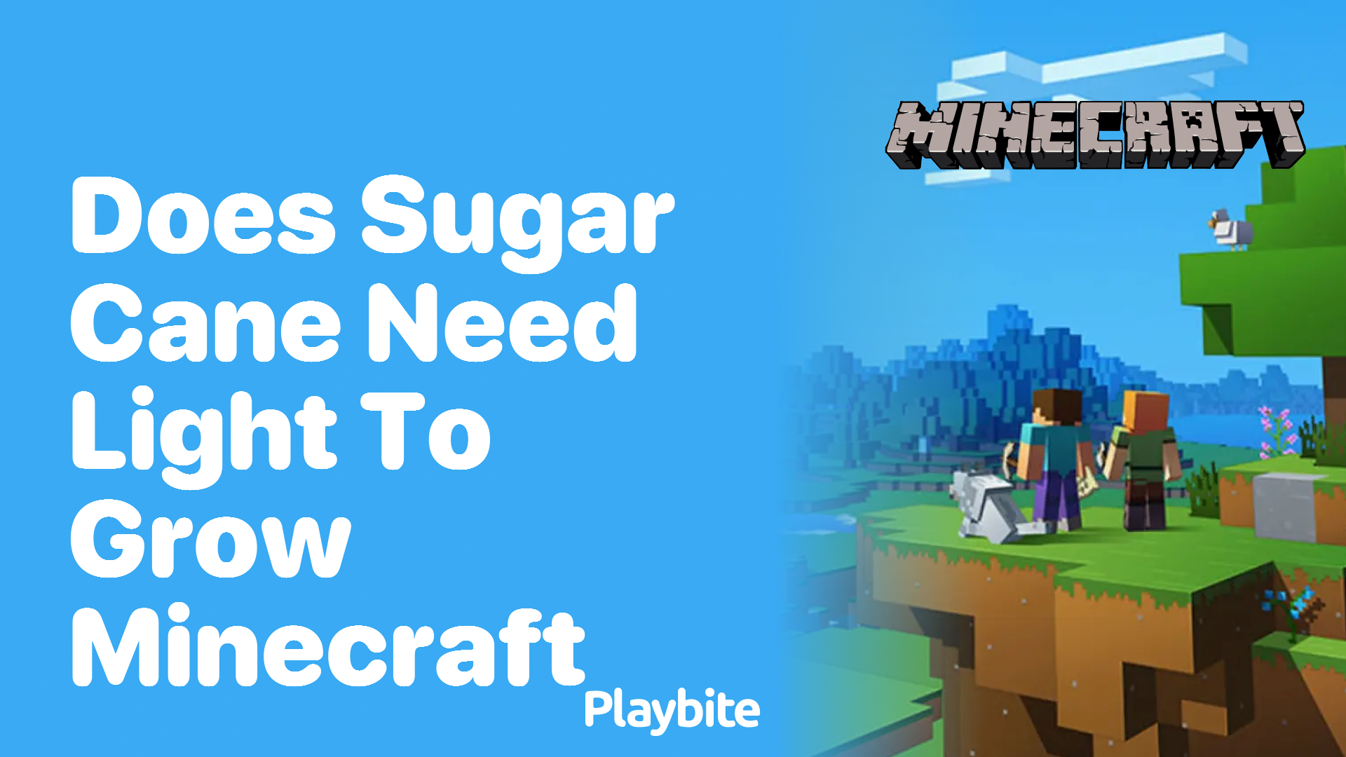 Does Sugar Cane Need Light to Grow in Minecraft?