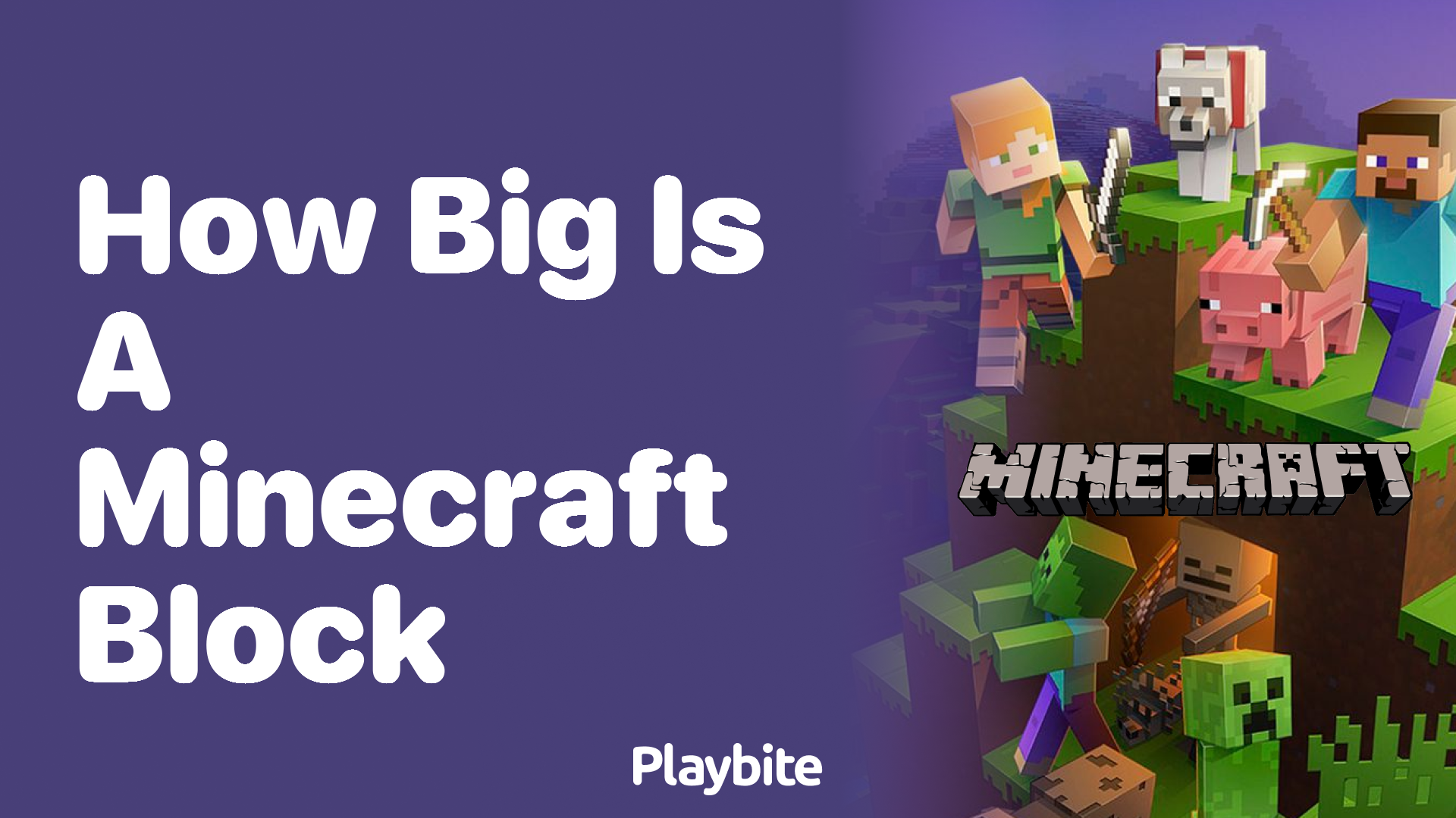 How Big Is a Minecraft Block?