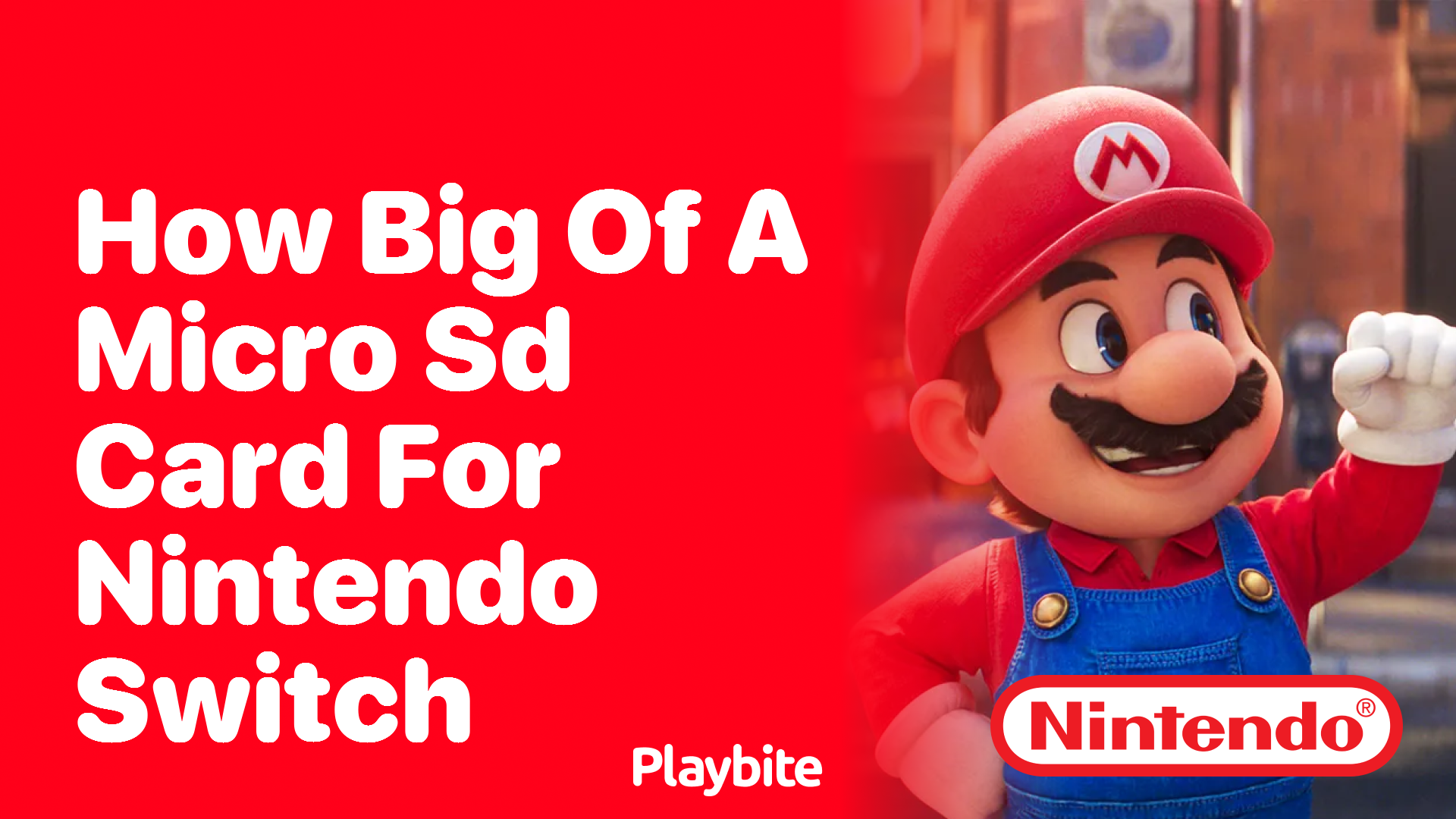 How Big of a Micro SD Card Do You Need for Your Nintendo Switch?