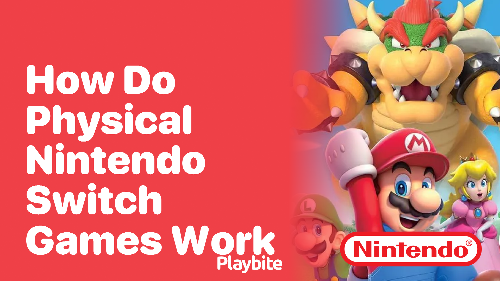 How Do Physical Nintendo Switch Games Work?