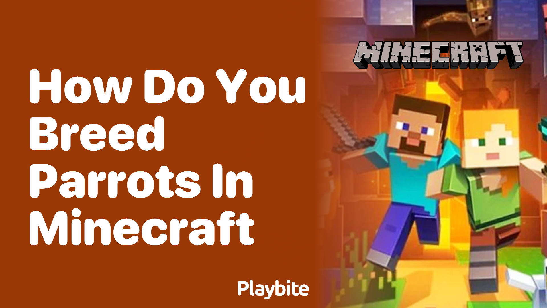 How do you breed parrots in Minecraft?