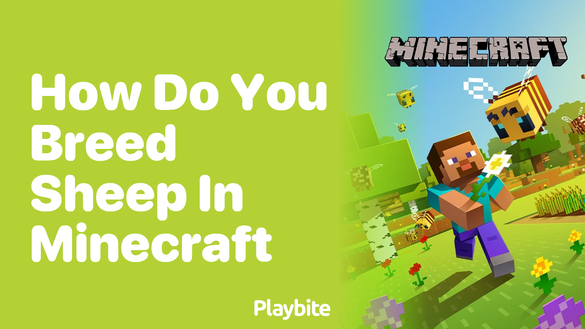How Do You Breed Sheep in Minecraft?
