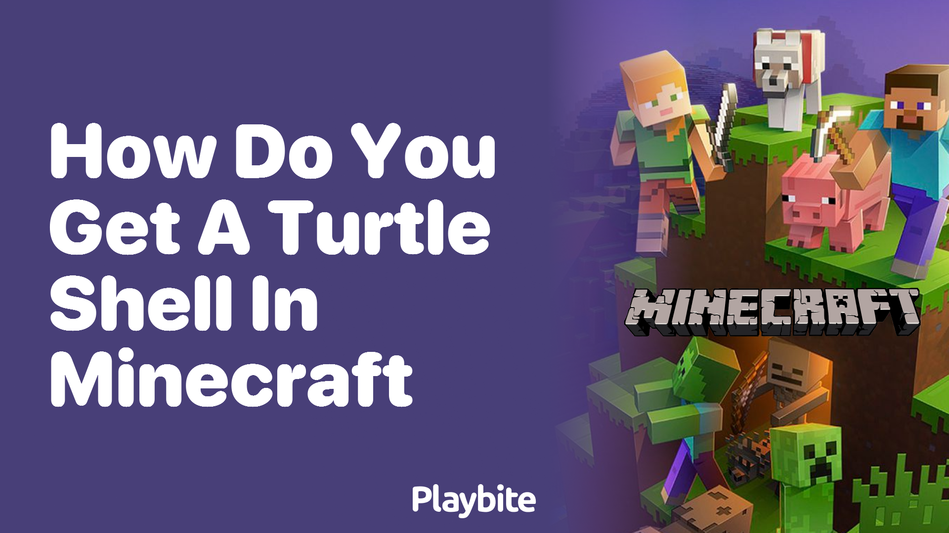 How Do You Get a Turtle Shell in Minecraft?