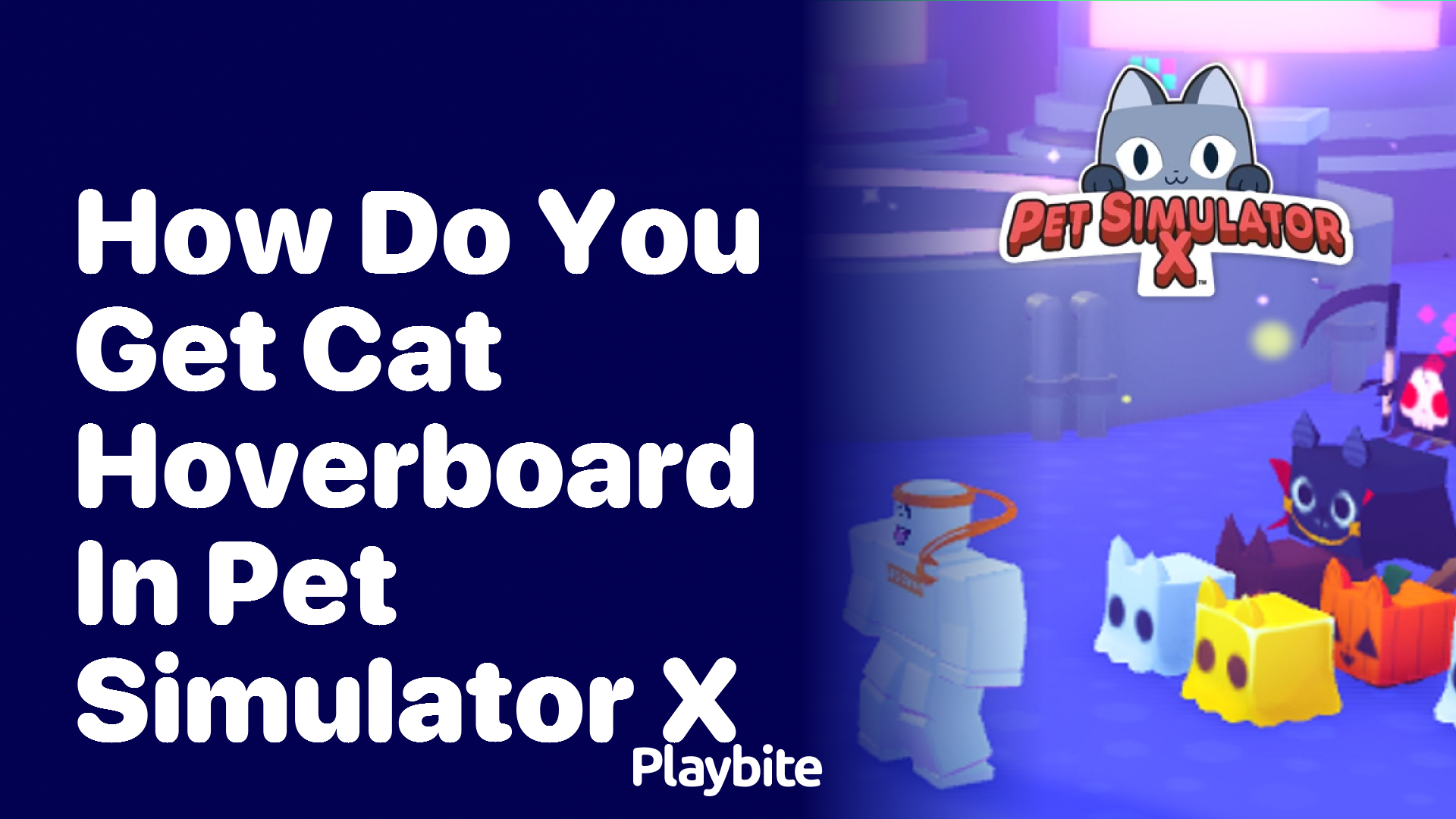 How to Get the Cat Hoverboard in Pet Simulator X