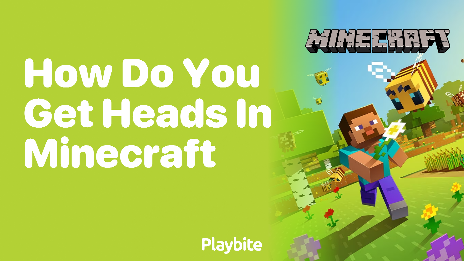 How Do You Get Heads in Minecraft?