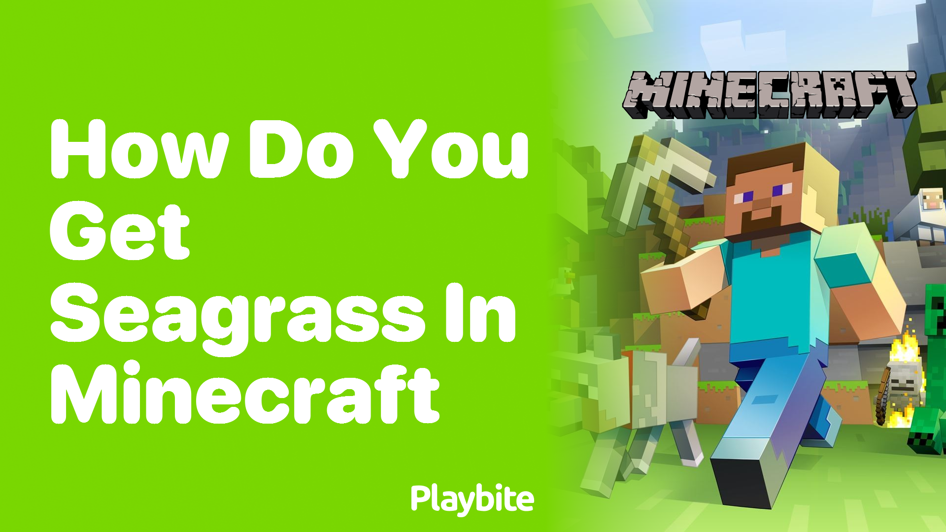 How Do You Get Seagrass in Minecraft?