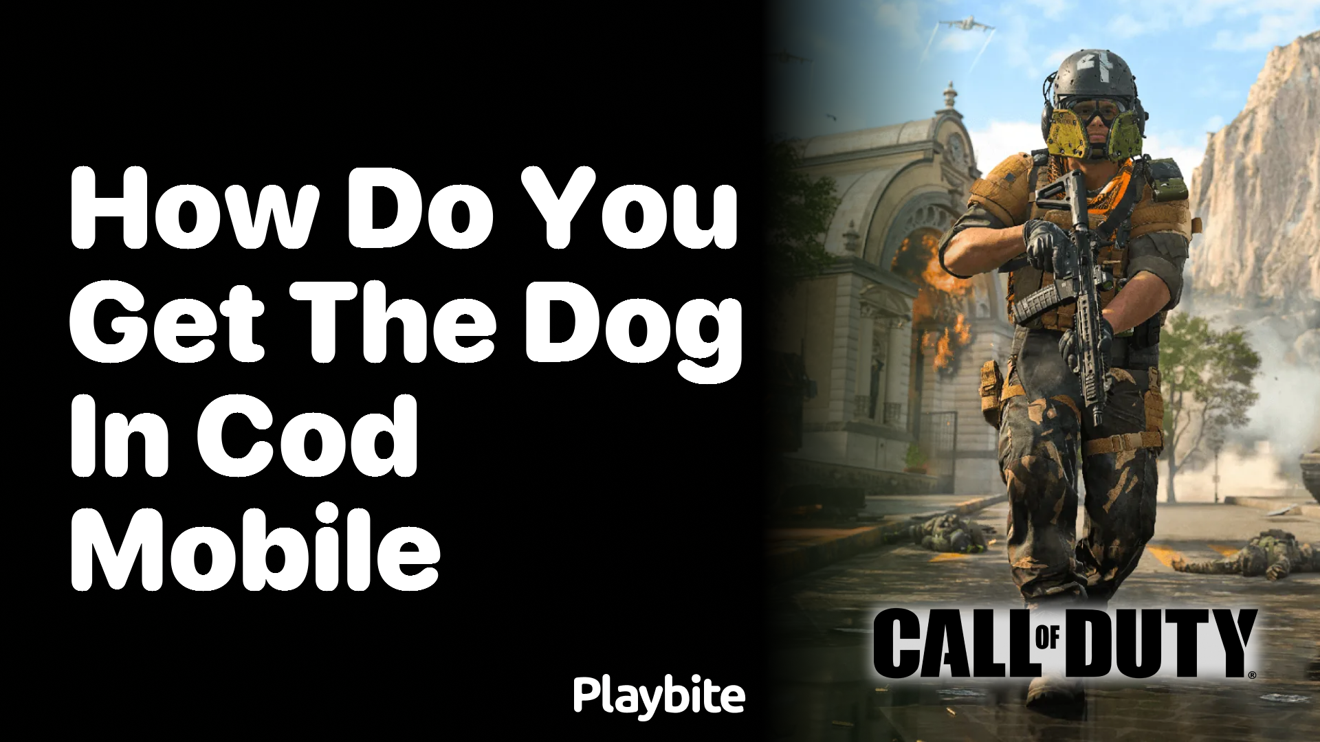 How Do You Get the Dog in COD Mobile?