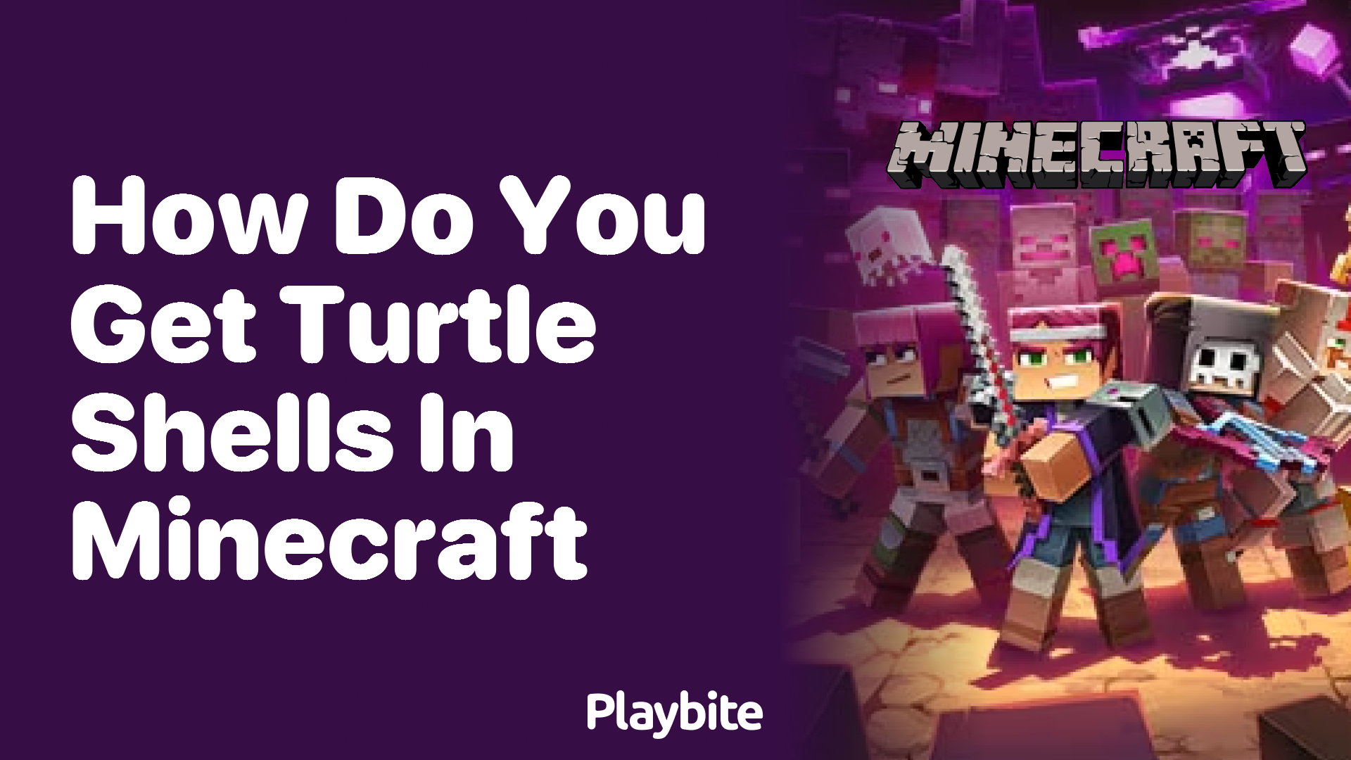 How to Get Turtle Shells in Minecraft