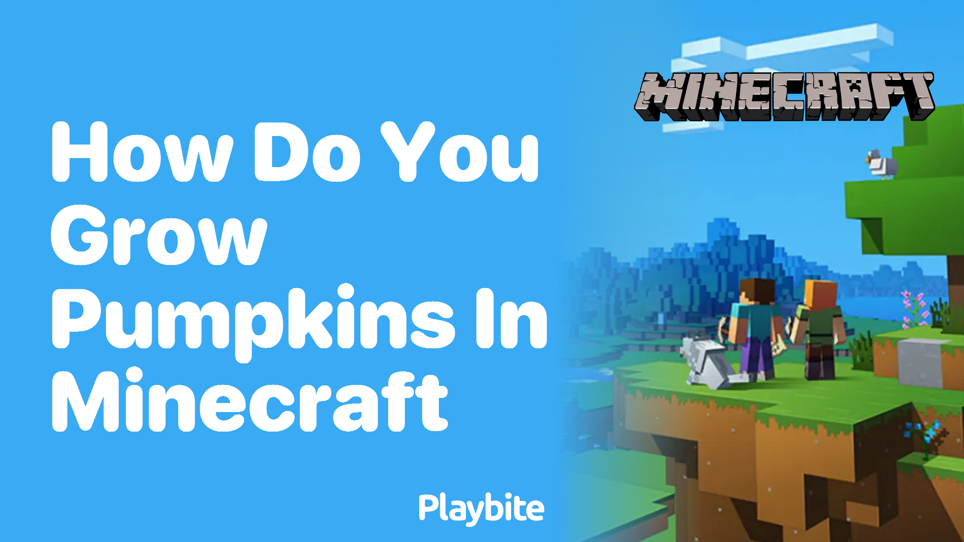 How Do You Grow Pumpkins in Minecraft?