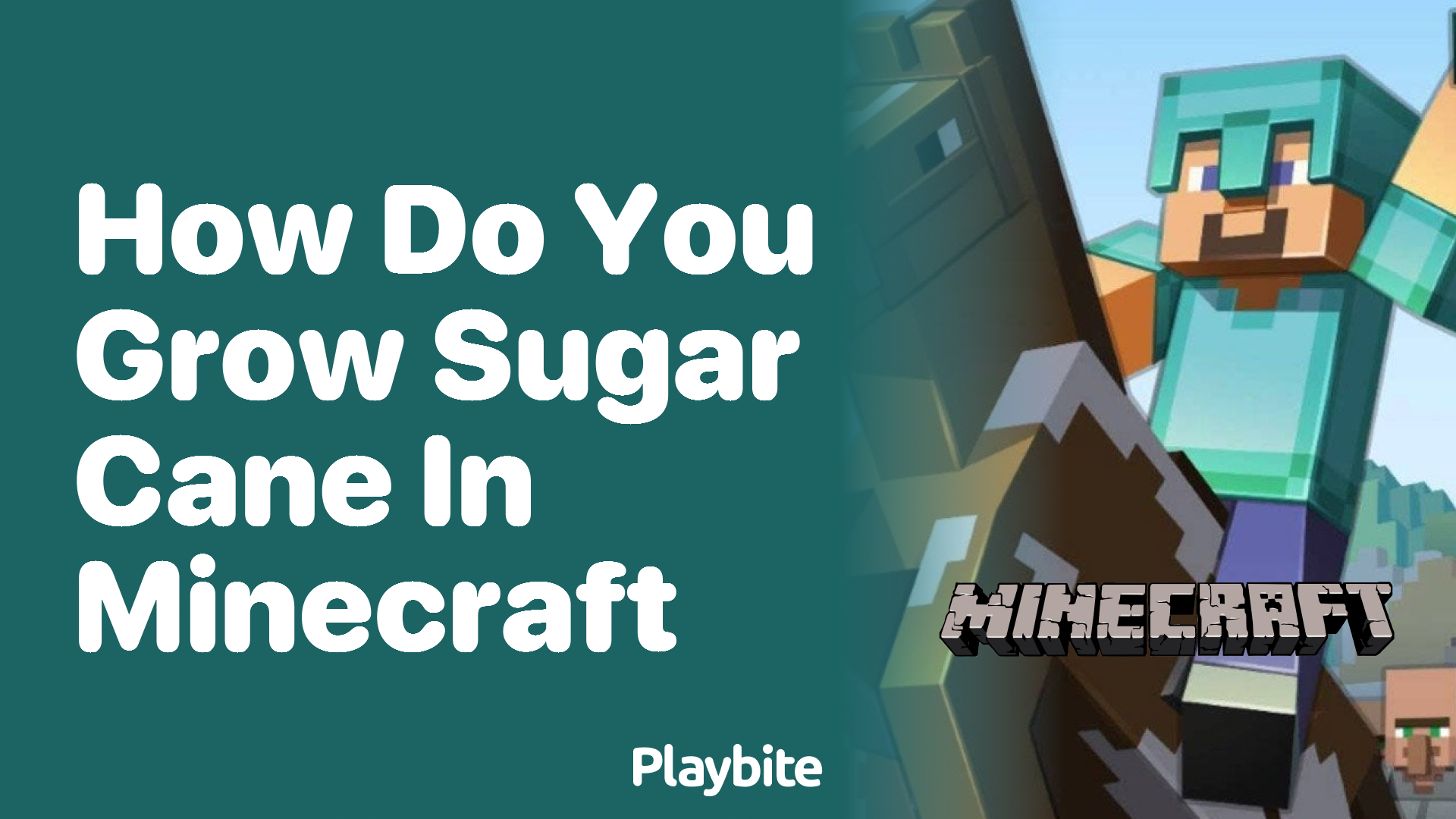 How do you grow sugar cane in Minecraft?