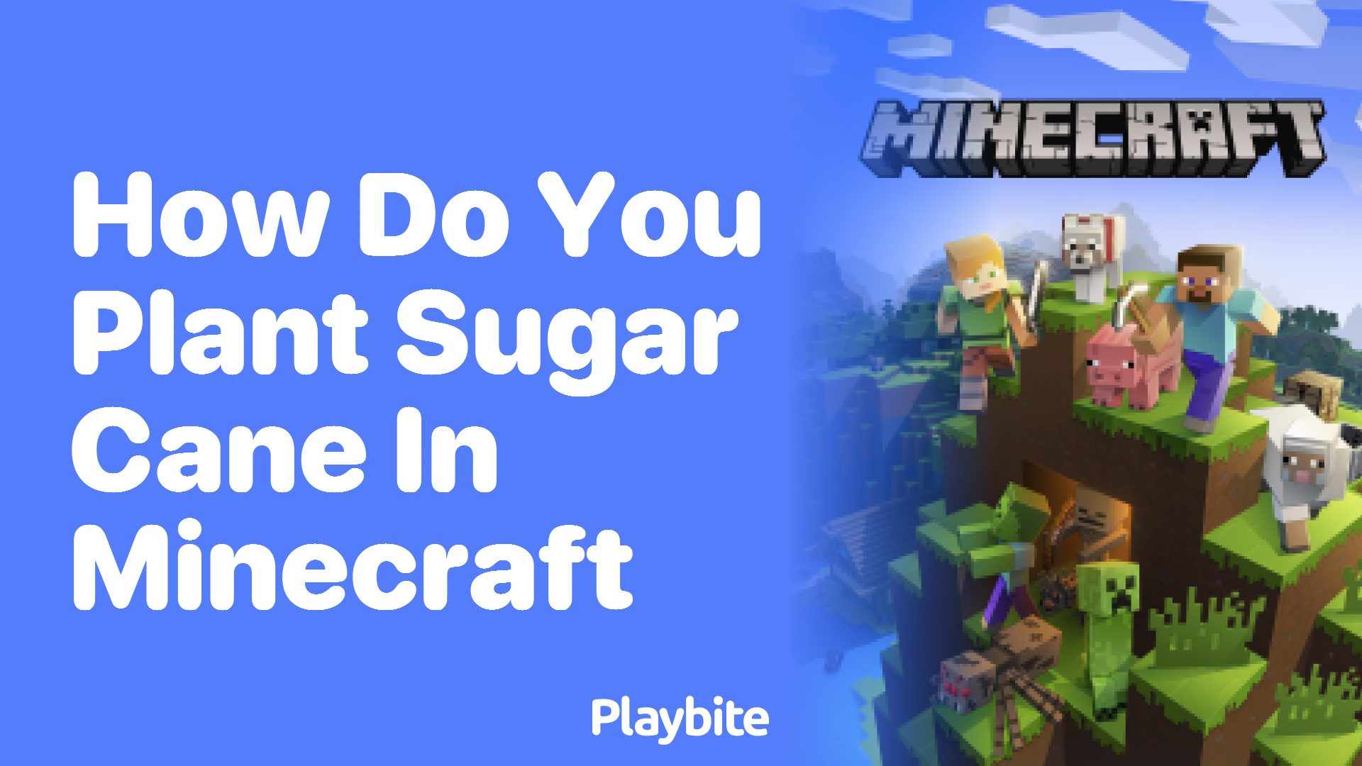 How Do You Plant Sugar Cane in Minecraft?