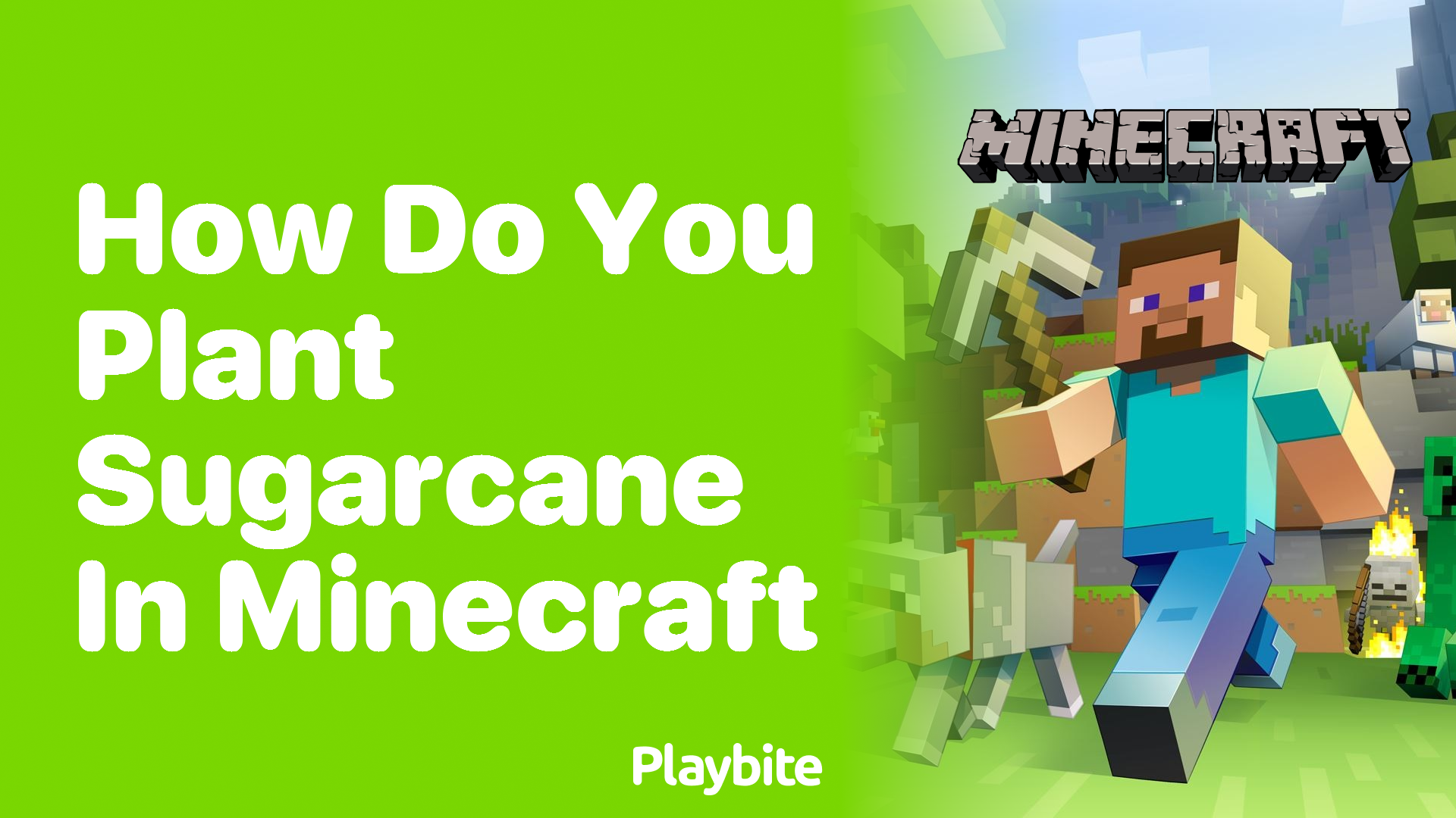 How Do You Plant Sugarcane in Minecraft?