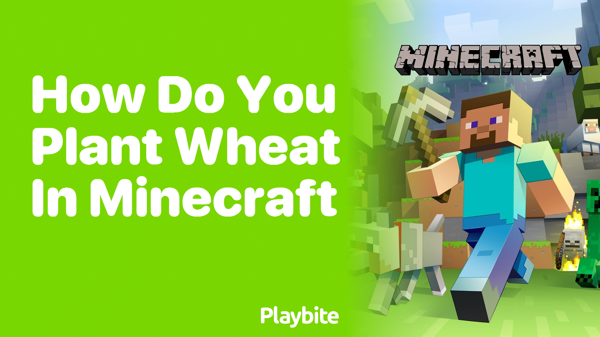 How Do You Plant Wheat in Minecraft?