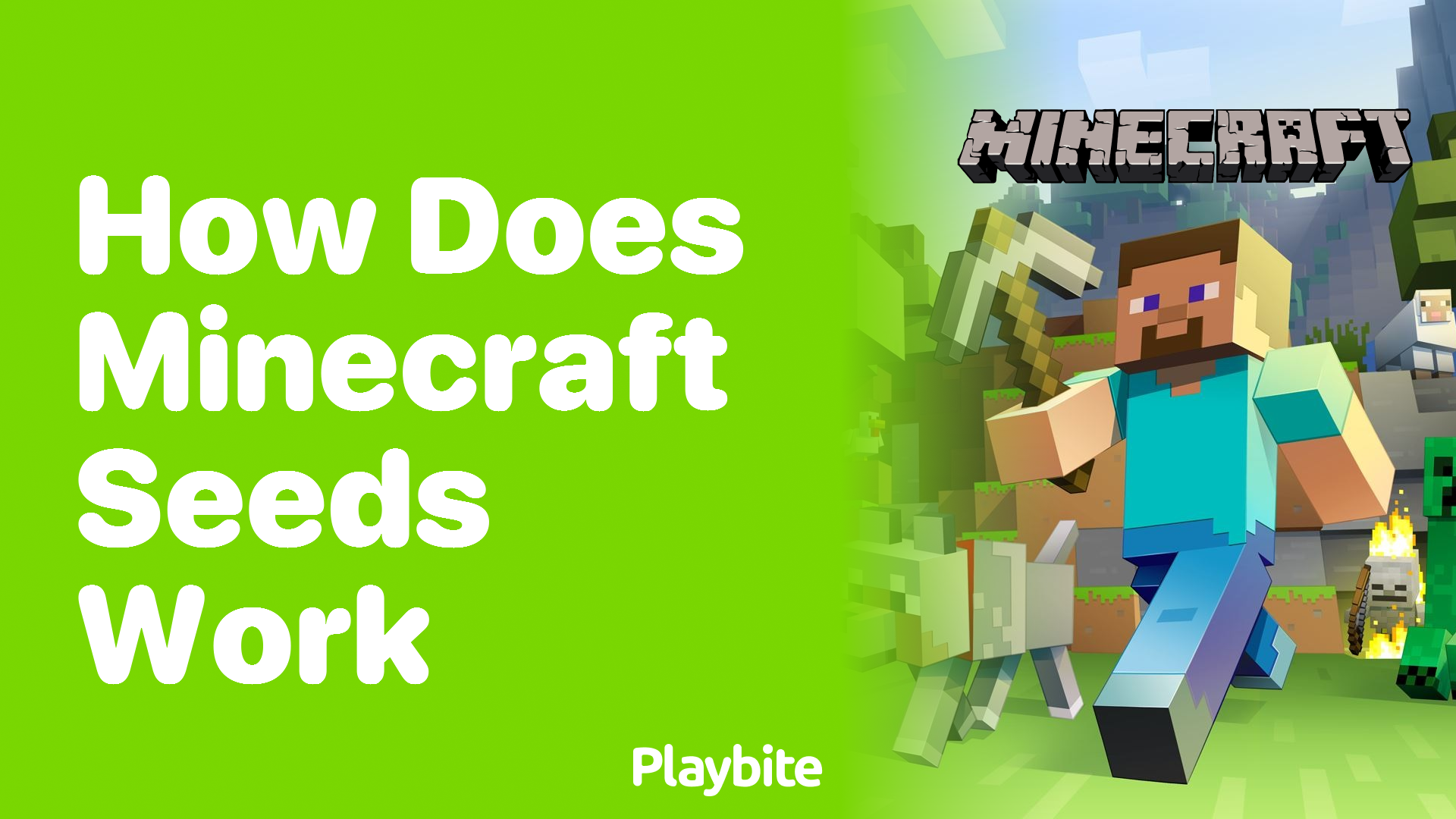How Do Minecraft Seeds Work?
