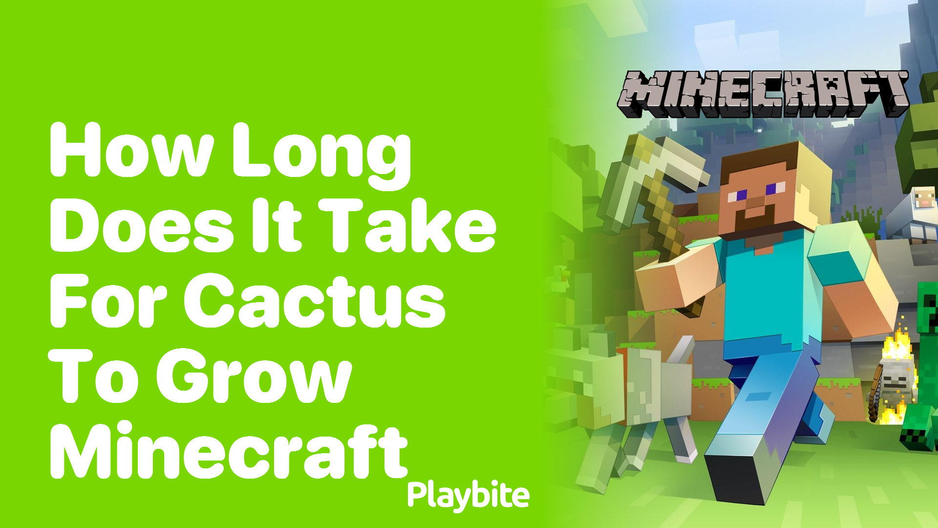 How Long Does It Take for a Cactus to Grow in Minecraft?