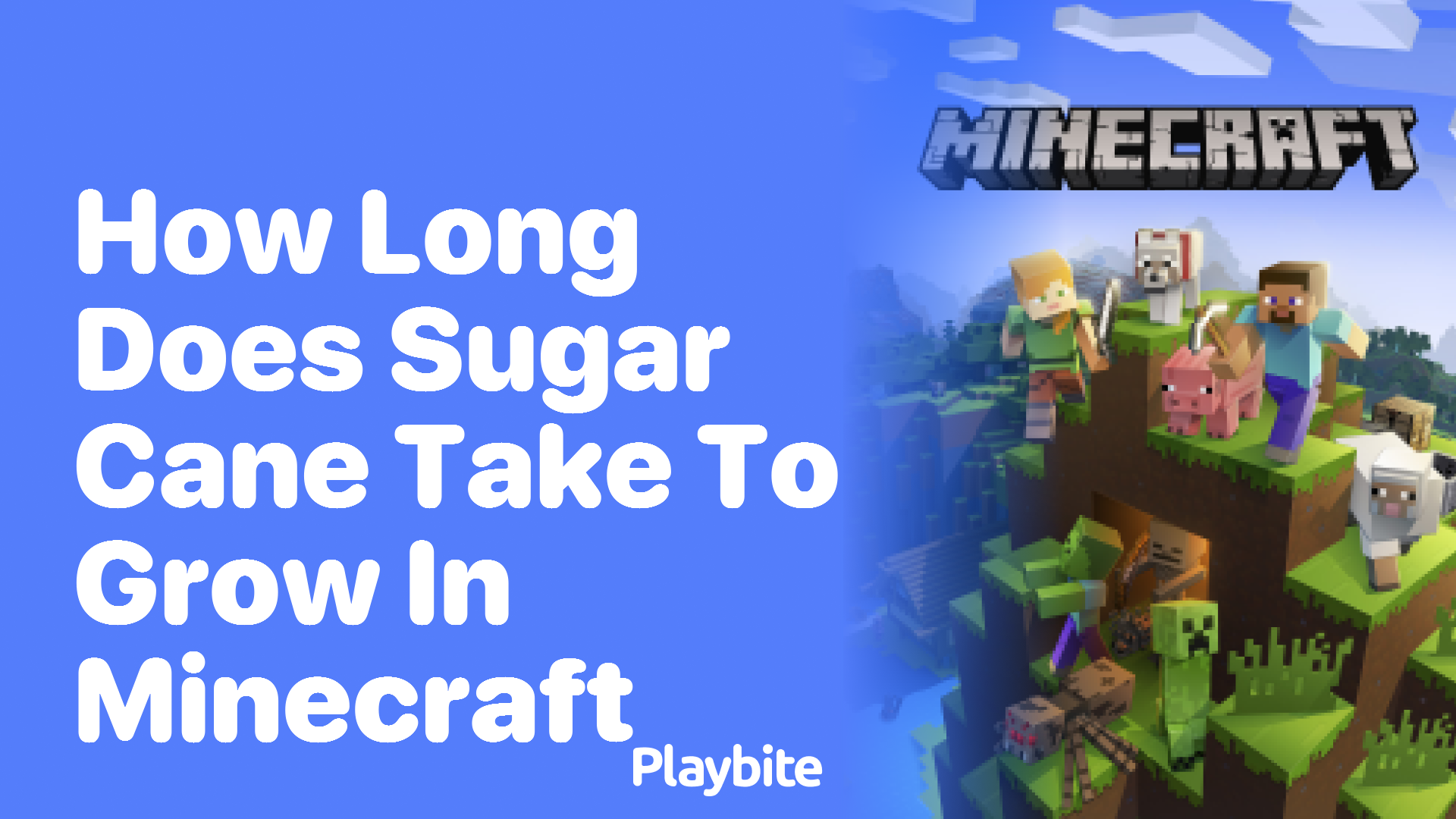 How Long Does Sugar Cane Take to Grow in Minecraft?