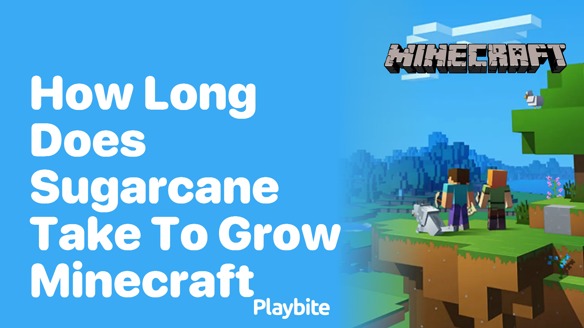 How Long Does Sugarcane Take to Grow in Minecraft? Playbite