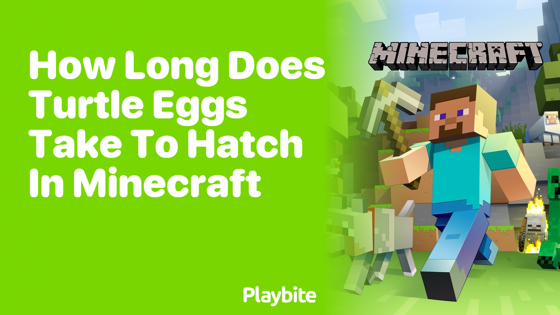 How Long Does It Take for Turtle Eggs to Hatch in Minecraft?