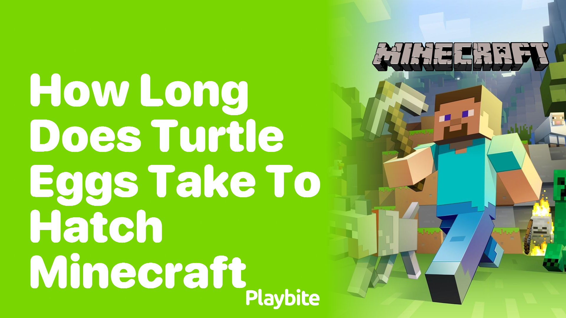 How Long Does It Take for Turtle Eggs to Hatch in Minecraft?