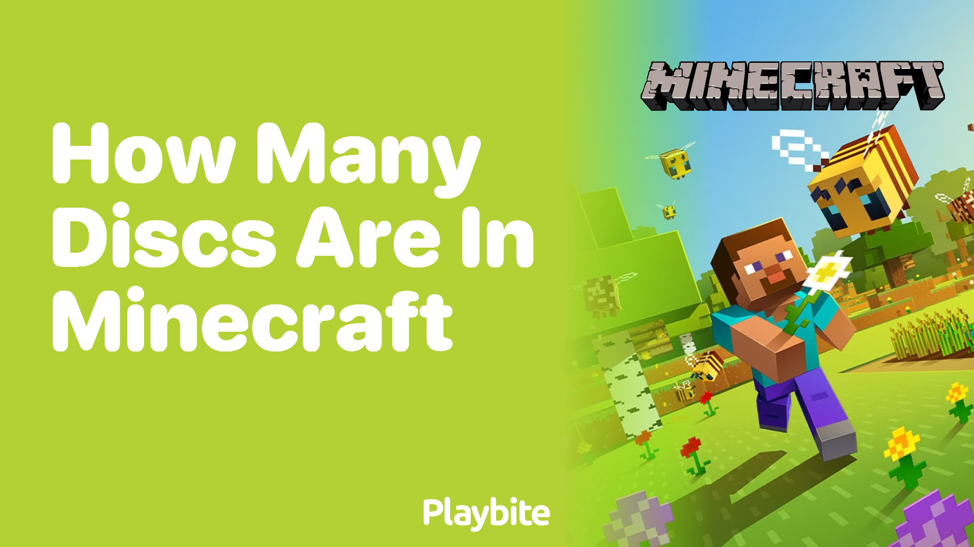 How Many Discs Are in Minecraft? Playbite