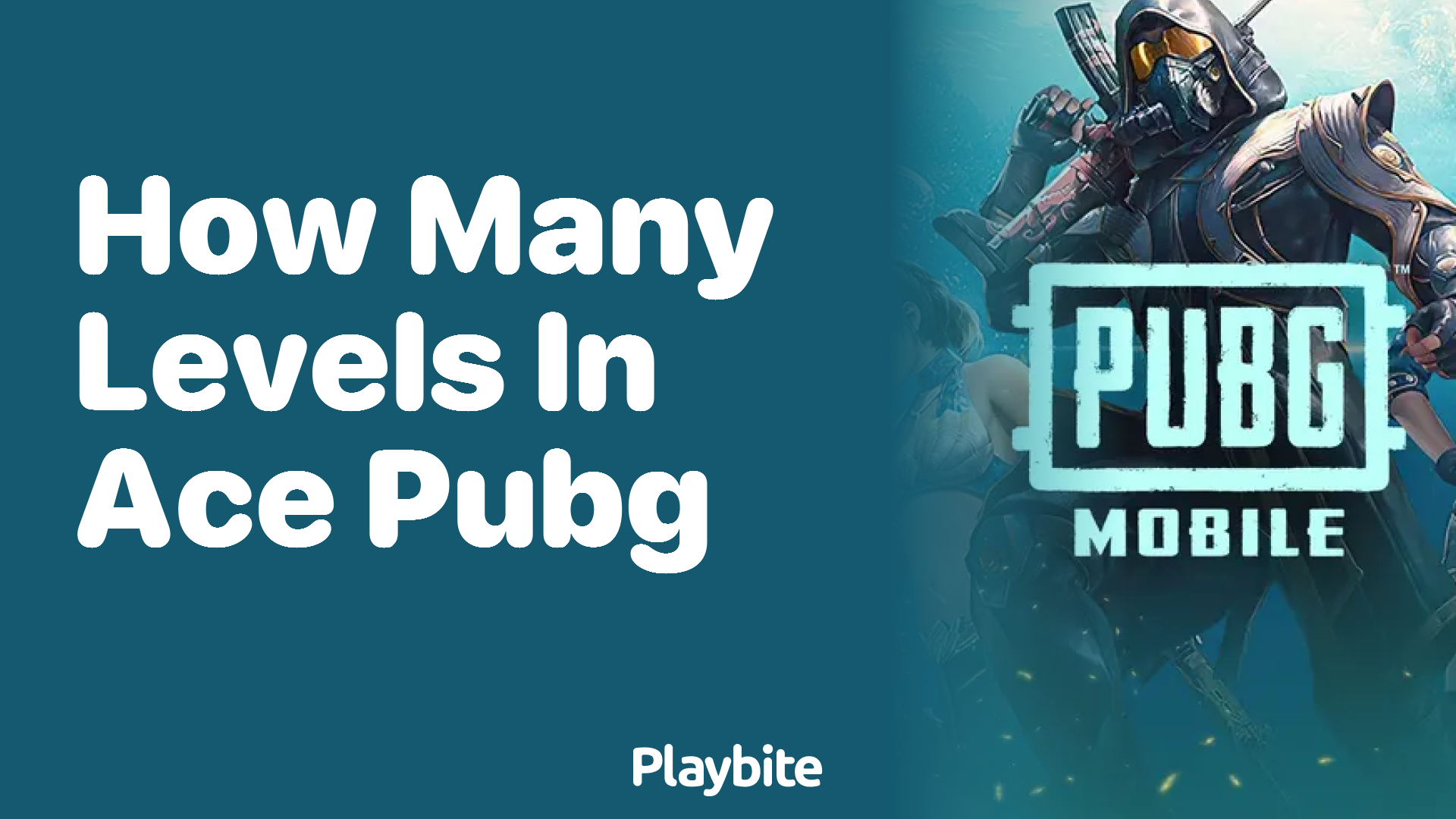 How Many Levels Are in Ace Rank in PUBG Mobile?