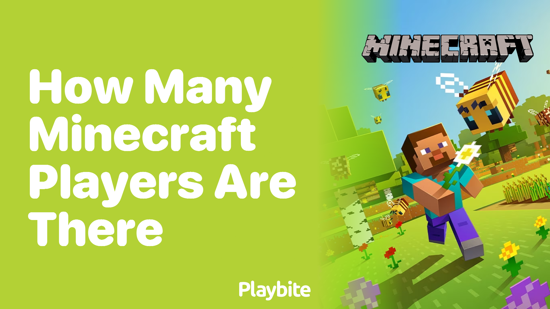 How Many Minecraft Players Are There?