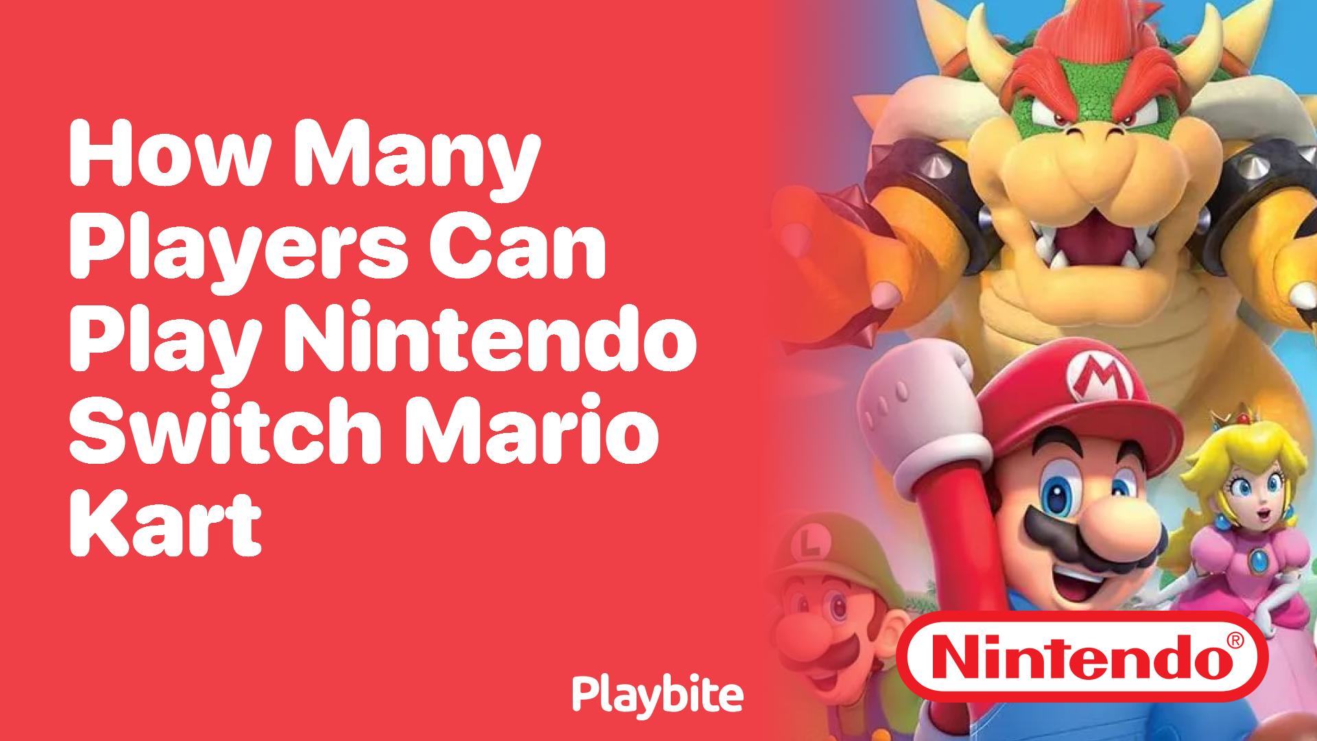 How Many Players Can Play Nintendo Switch Mario Kart?