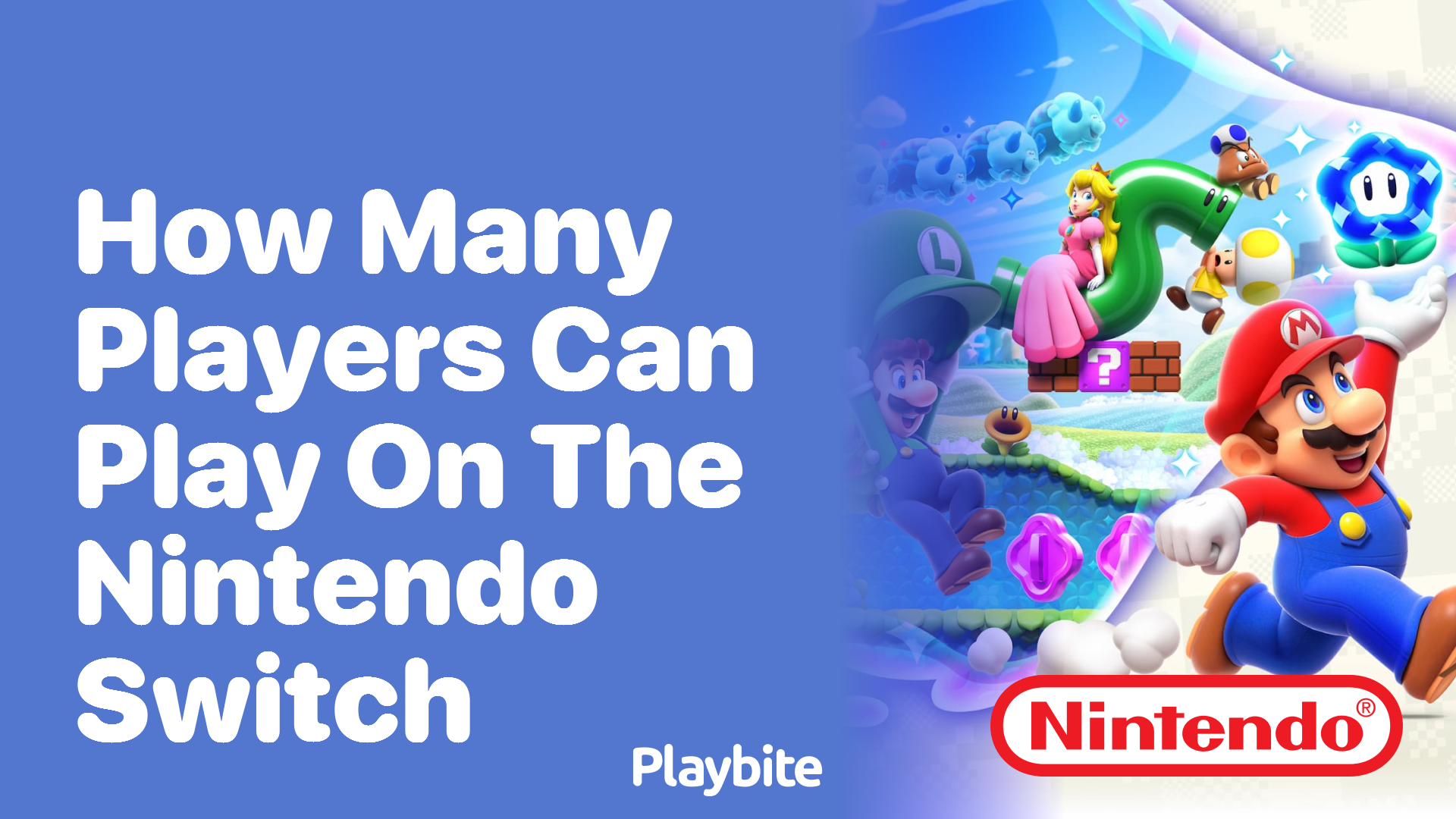 How Many Players Can Play on the Nintendo Switch?