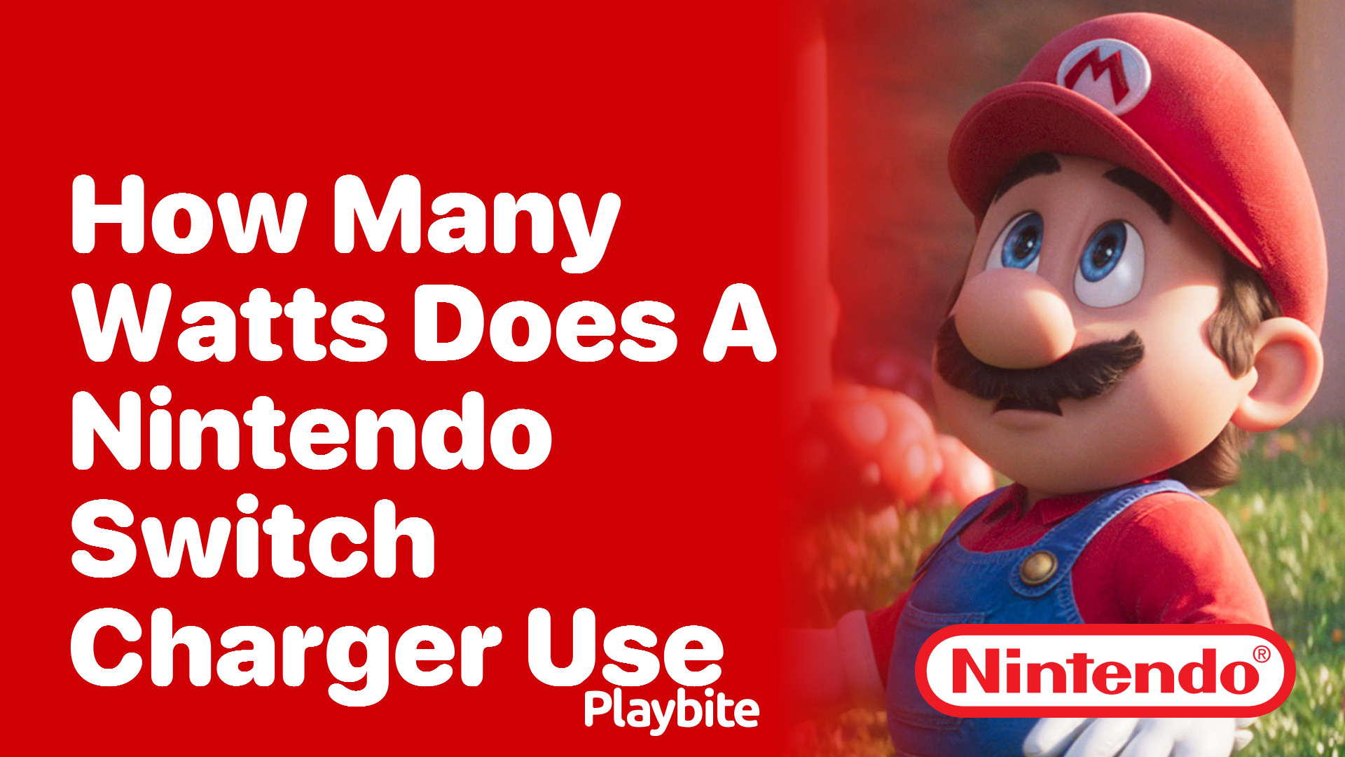 How Many Watts Does a Nintendo Switch Charger Use?