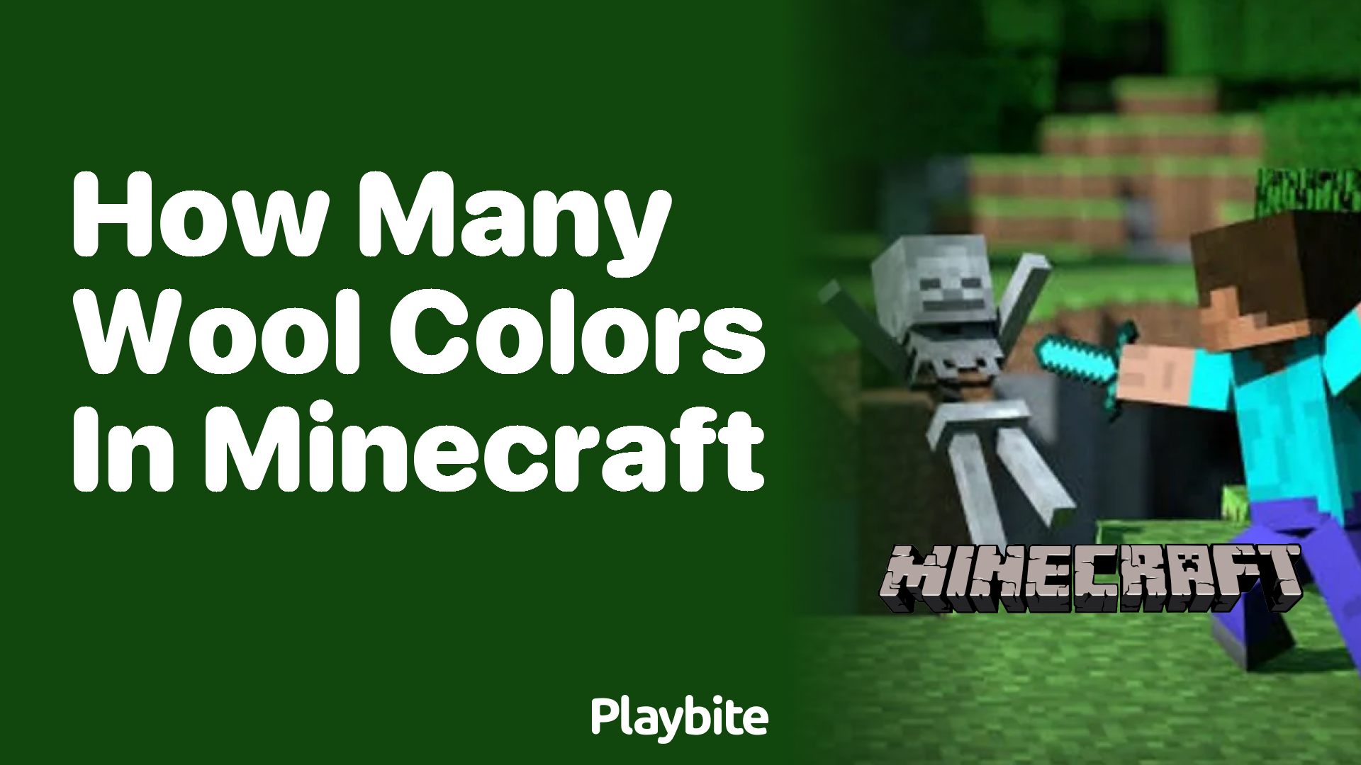 Discover the Rainbow of Wool Colors in Minecraft