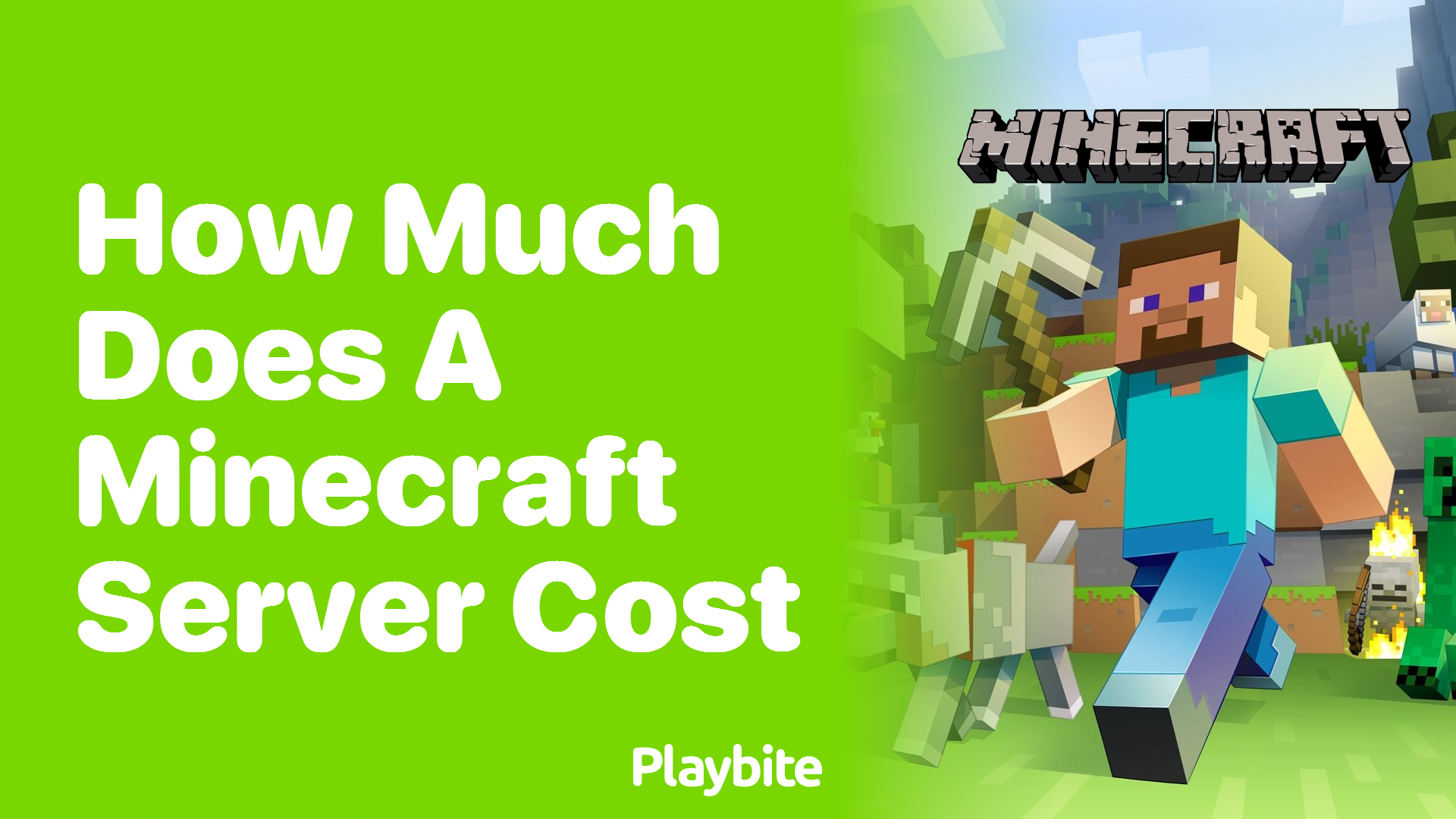 How Much Does a Minecraft Server Cost? Let’s Find Out!