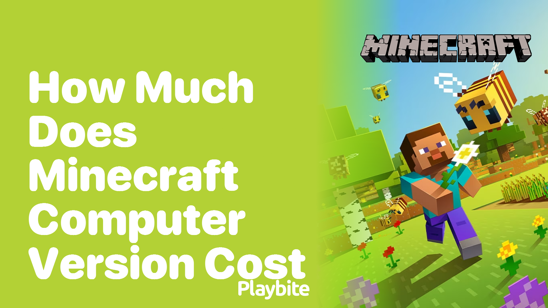 How Much Does the Minecraft Computer Version Cost?