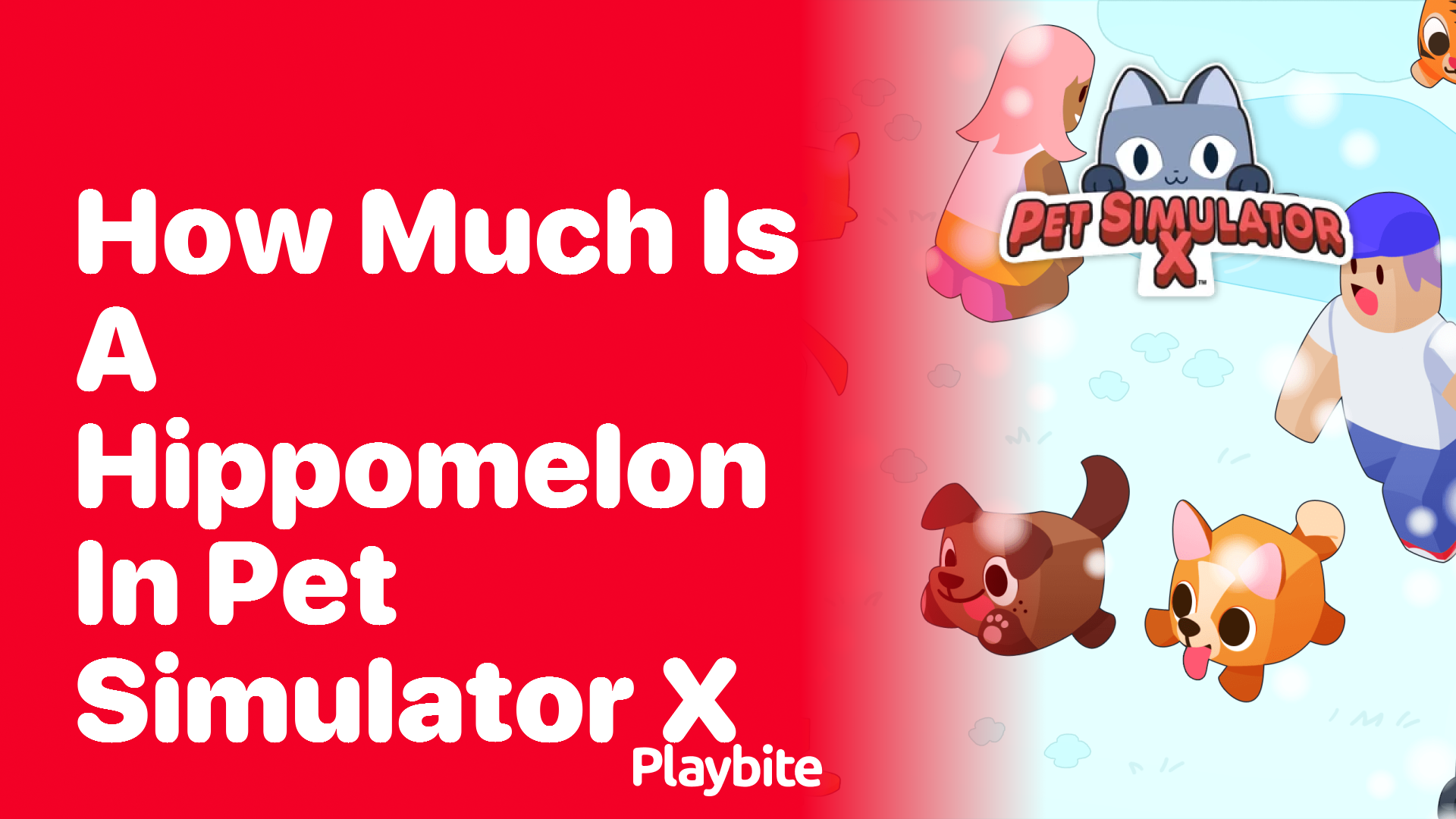 How Much is a Hippomelon in Pet Simulator X?