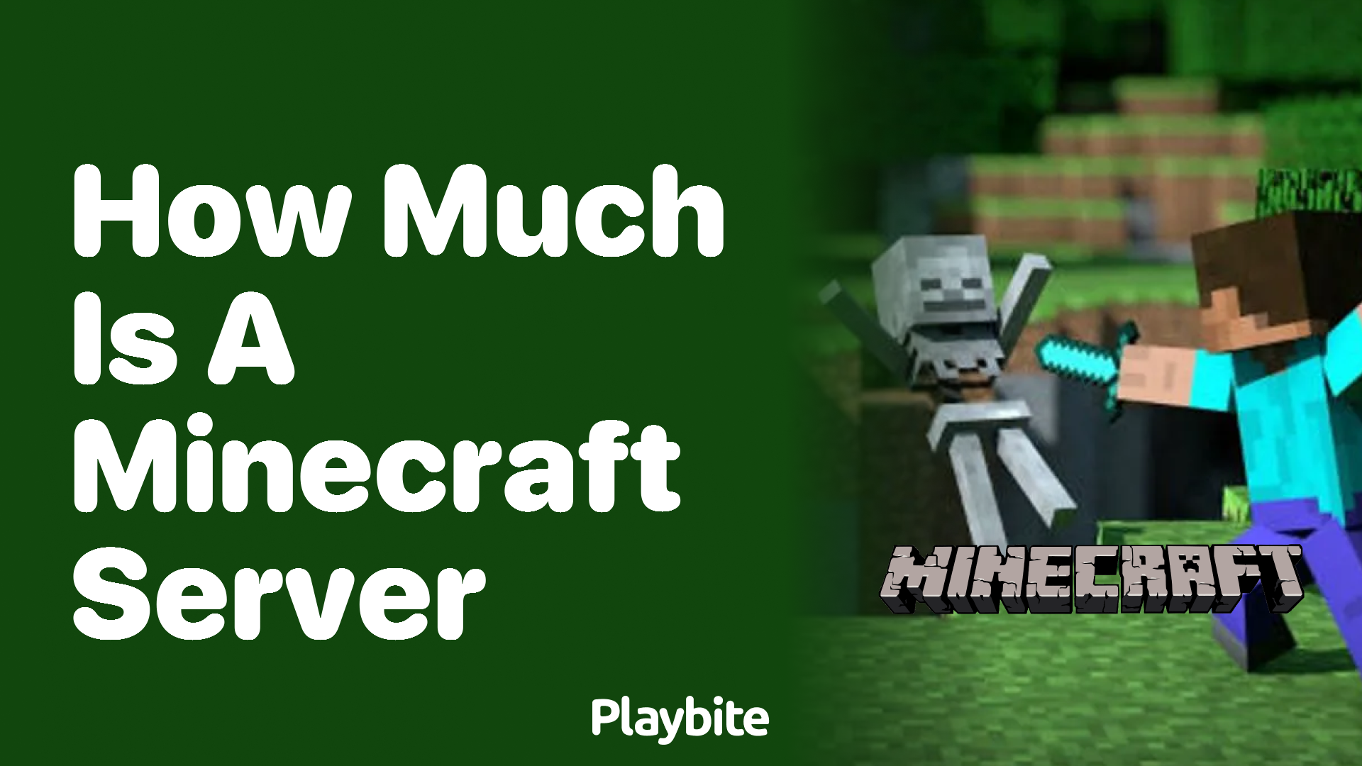 How Much Does A Minecraft Server Cost Playbite