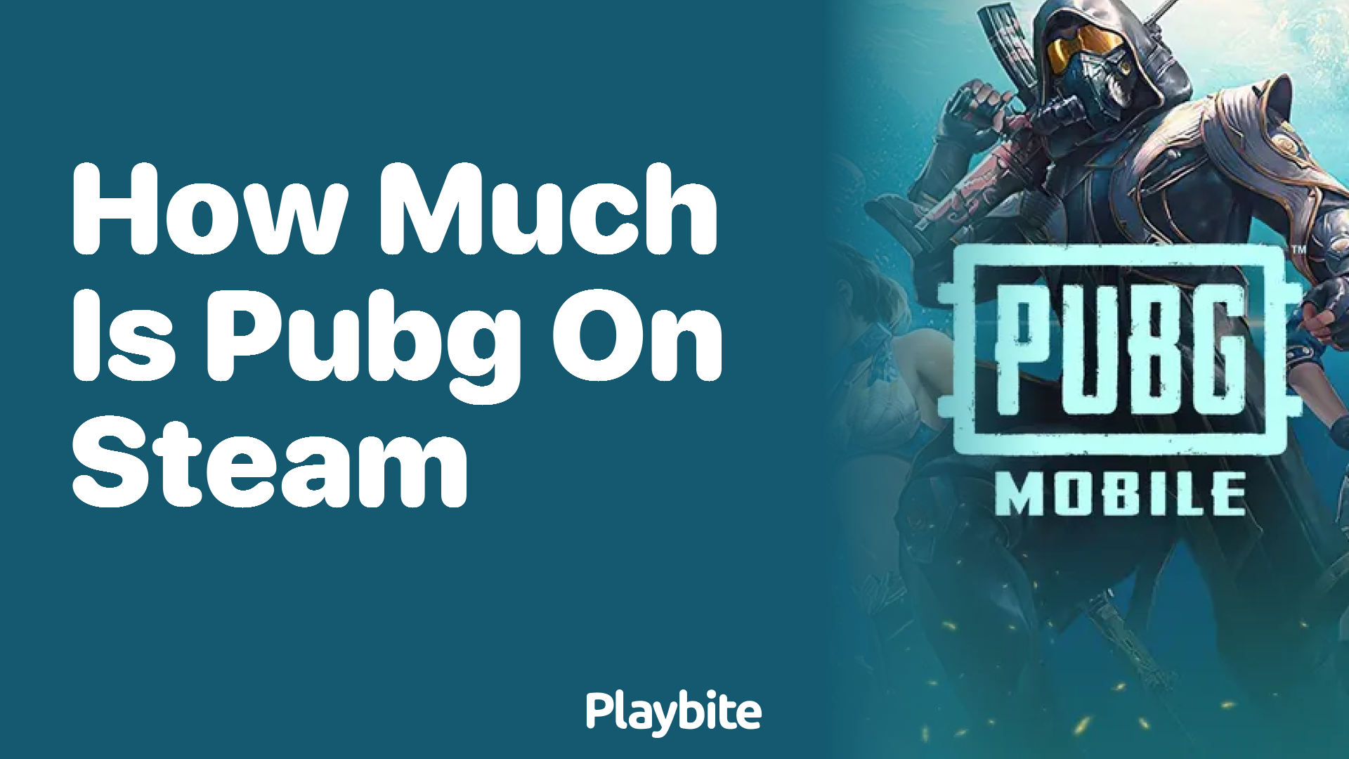 How Much Does PUBG Cost on Steam?
