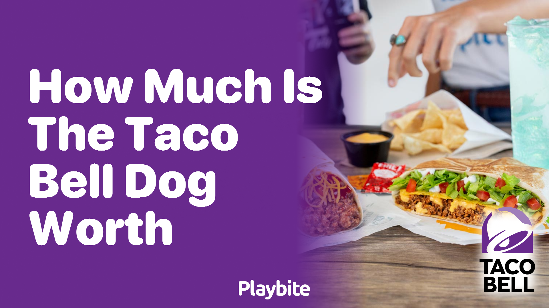 How Much Is the Taco Bell Dog Worth?
