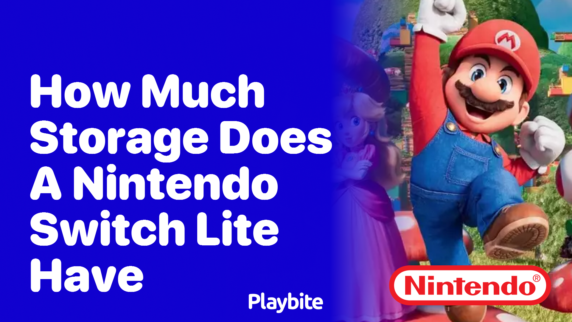 How Much Storage Does a Nintendo Switch Lite Have? Playbite