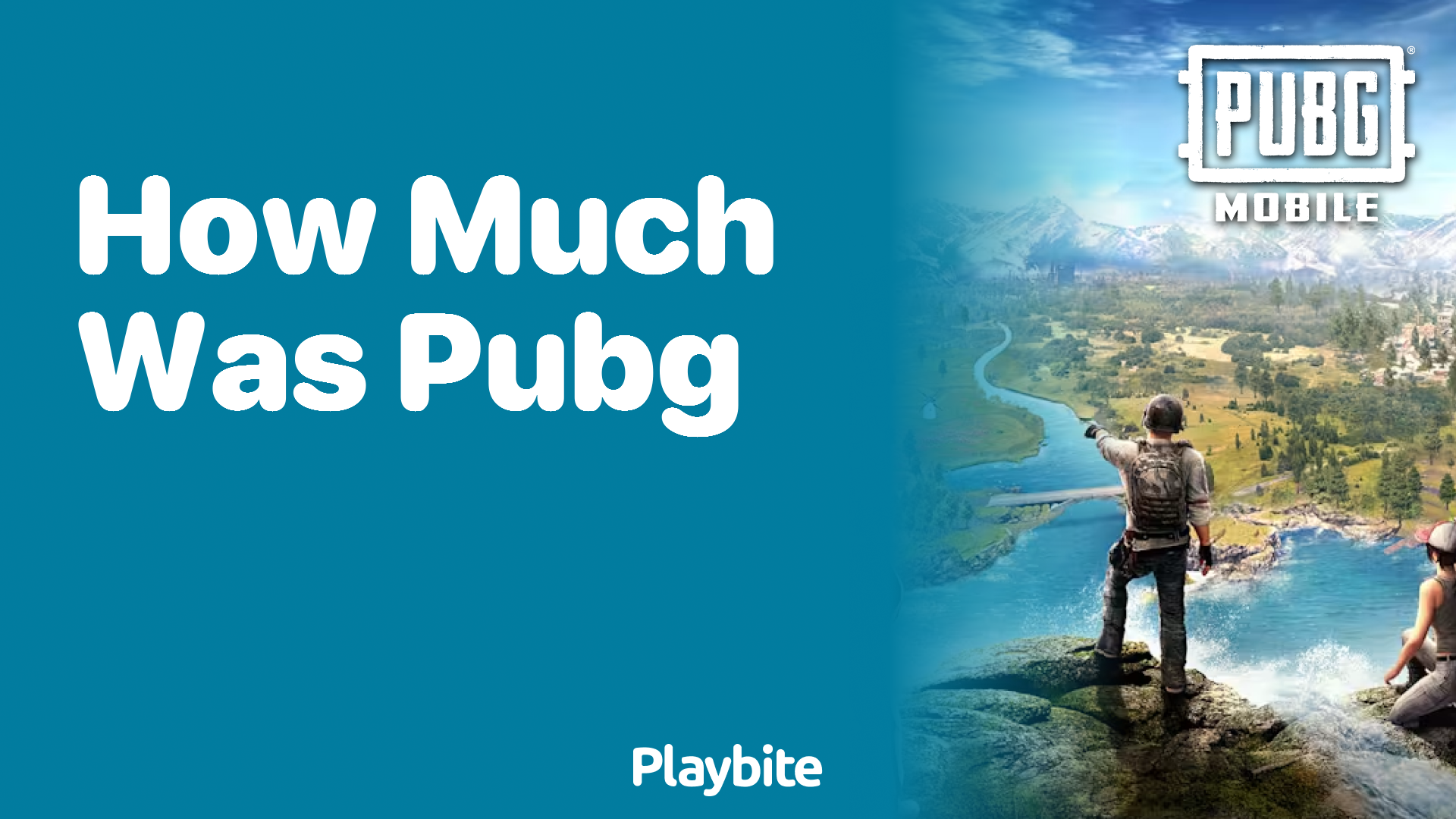 How Much Does PUBG Cost?
