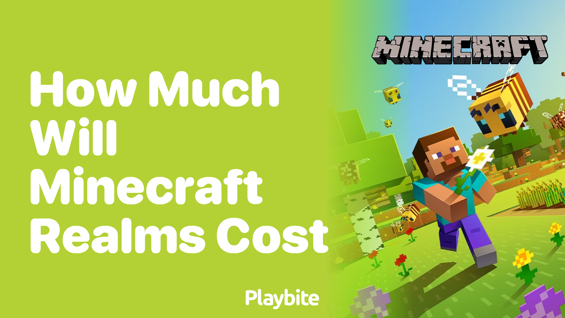How Much Will Minecraft Realms Cost You? - Playbite