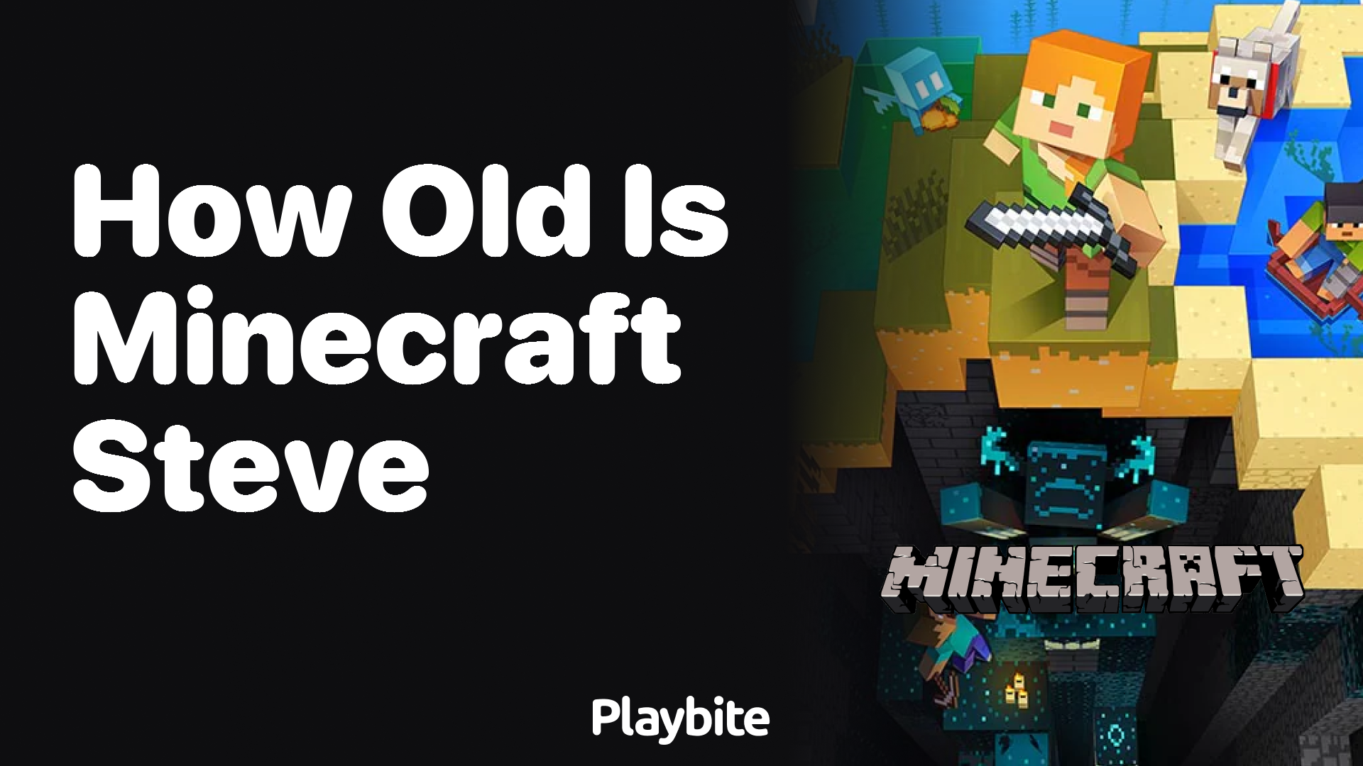 How Old is Minecraft Steve?
