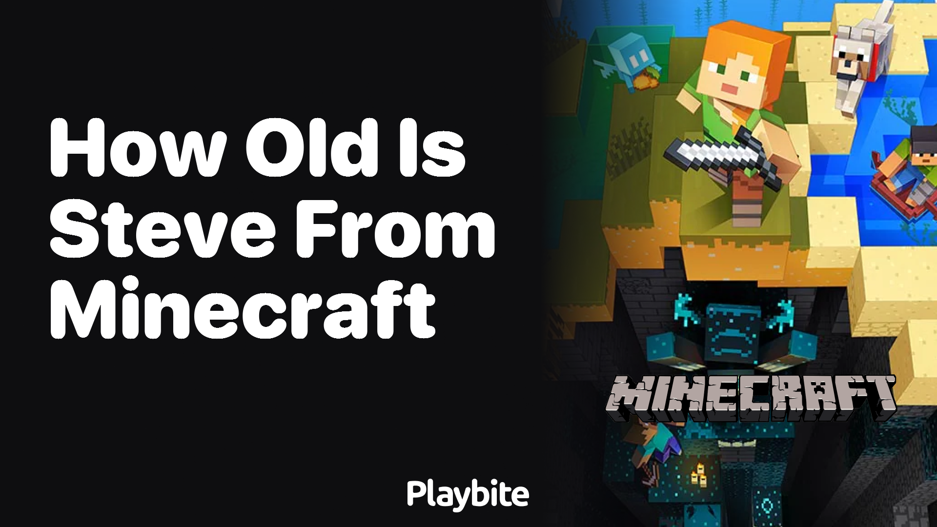 How Old Is Steve from Minecraft?