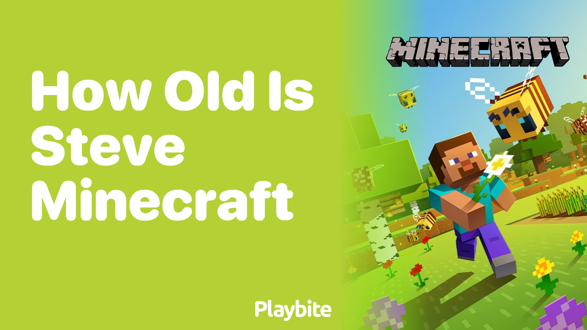 How Old Is Steve from Minecraft?