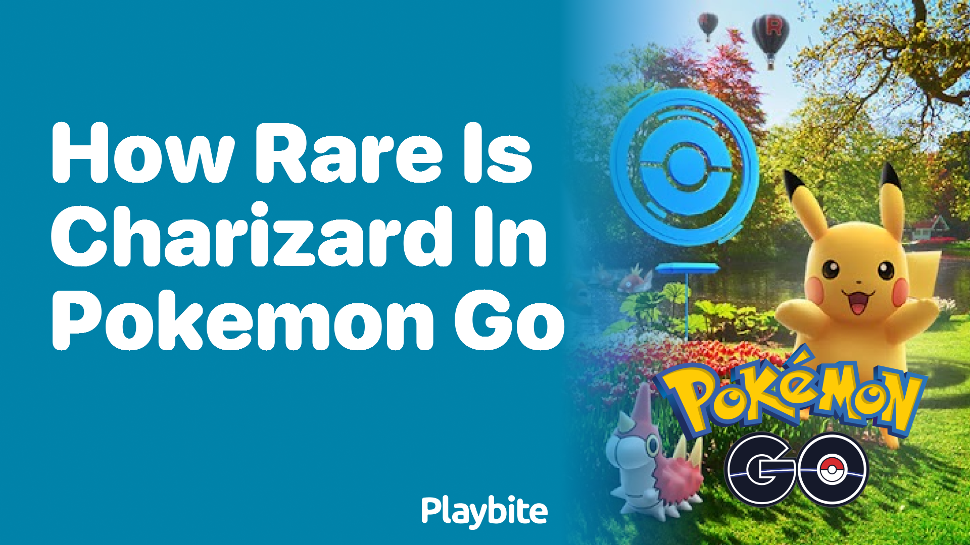 How Rare is Charizard in Pokemon GO?