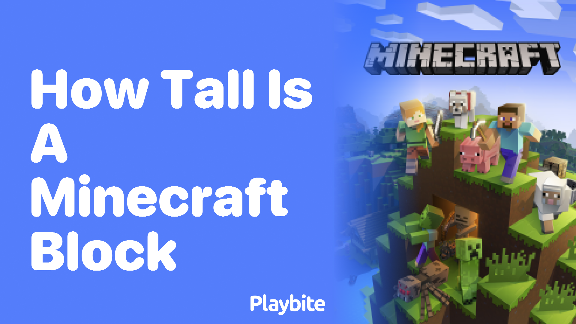 How Tall Is a Minecraft Block? Digging Into the Details