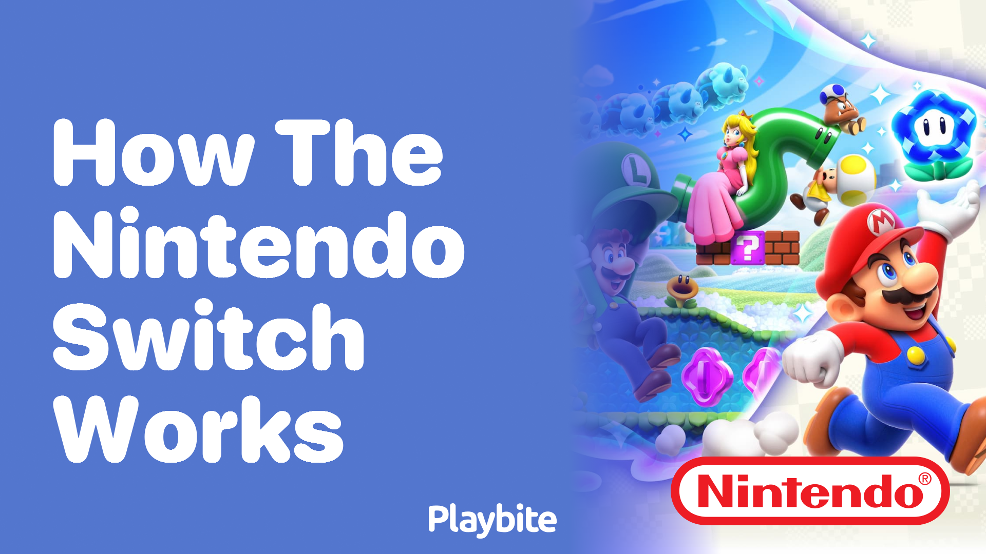 How Does the Nintendo Switch Work? Playbite