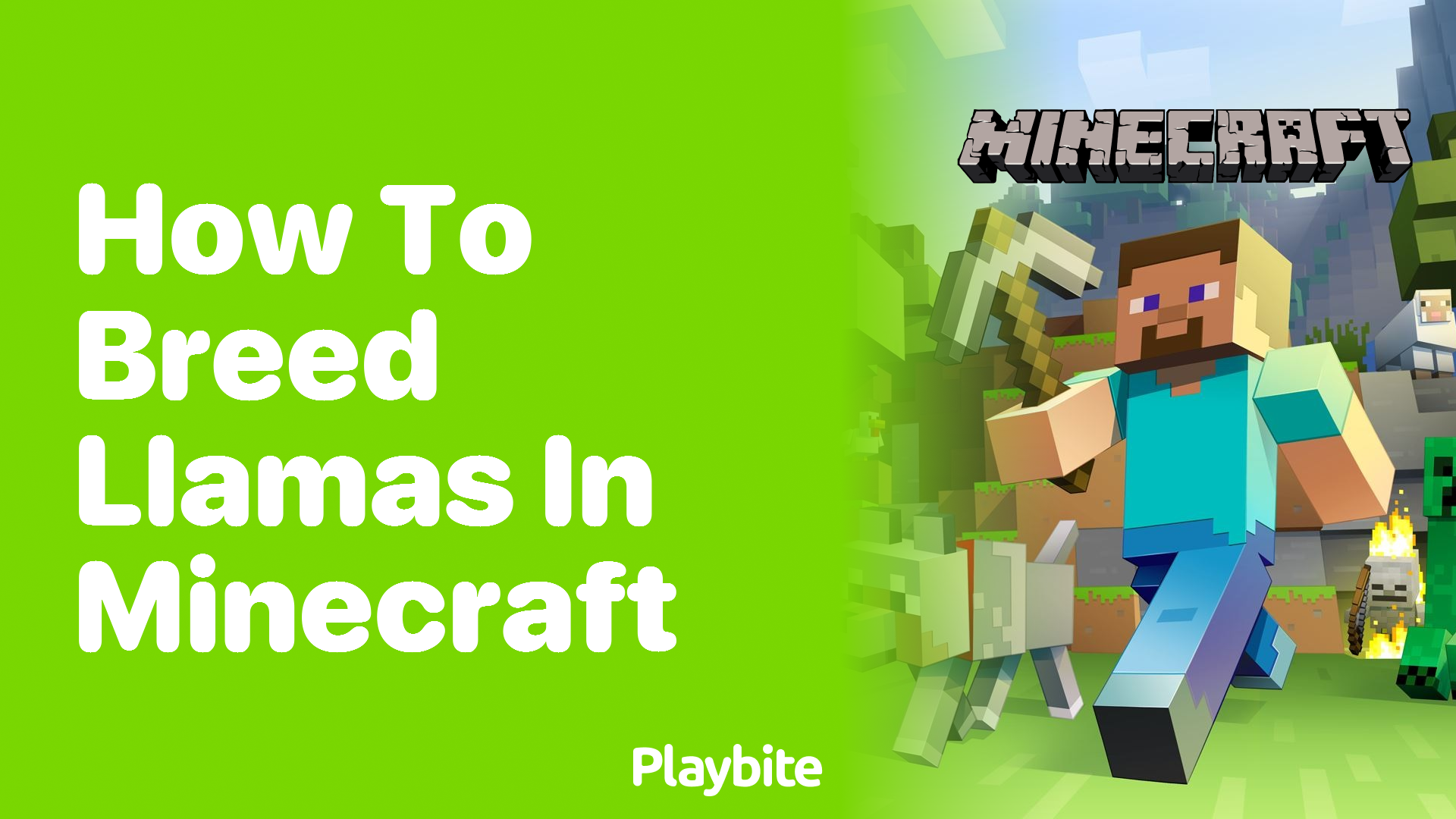 How to Breed Llamas in Minecraft Playbite