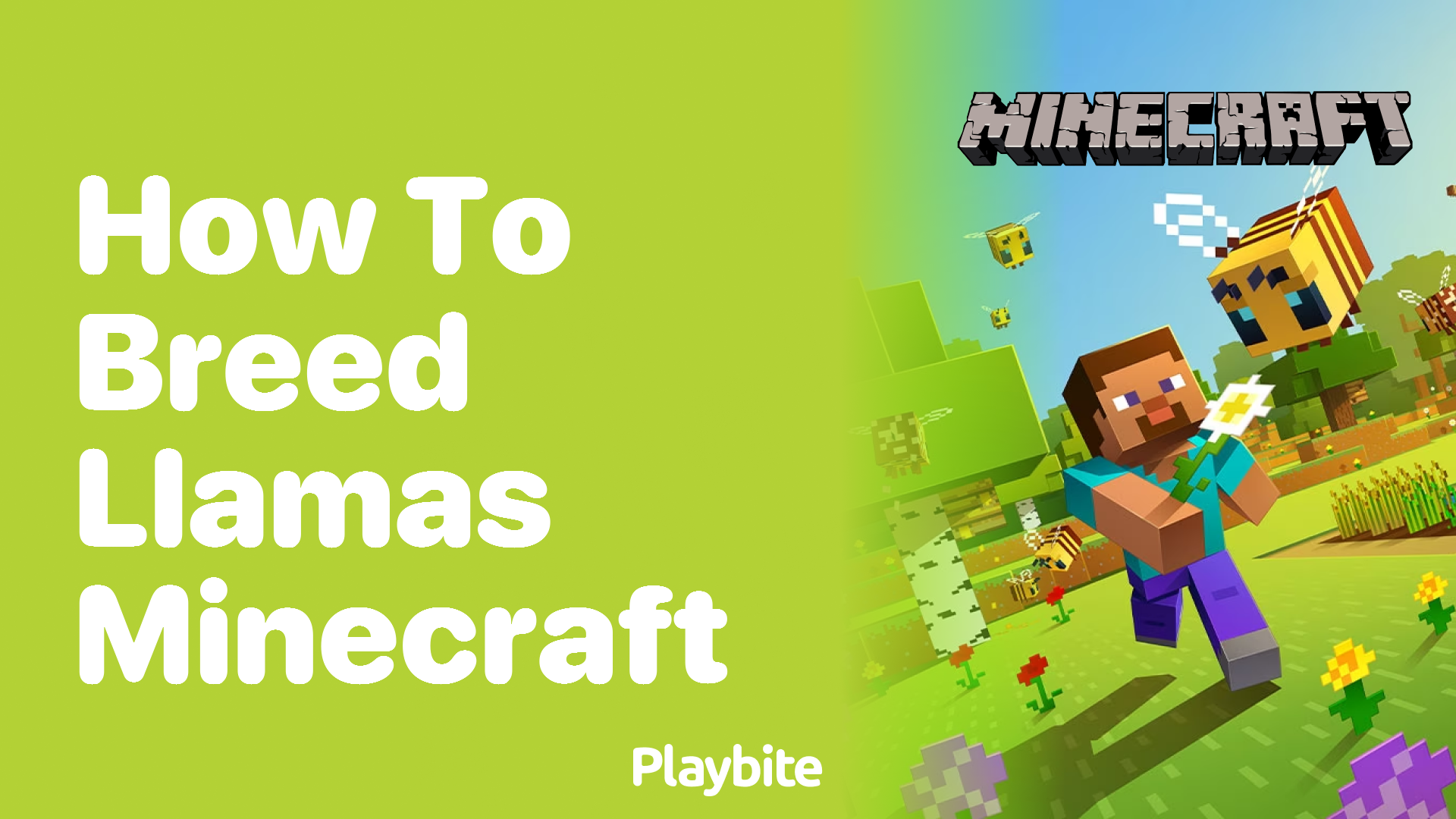 How to Breed Llamas in Minecraft